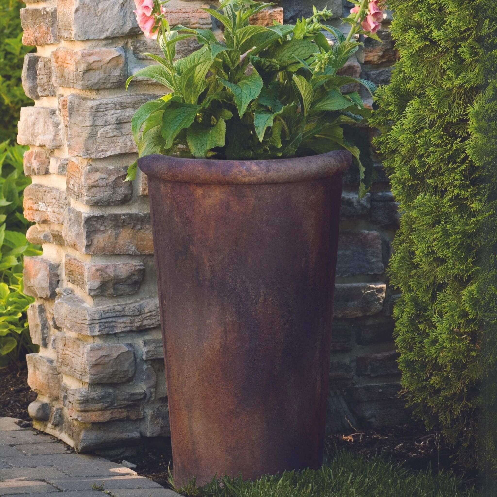 Pagnani Vase Concrete Planter - Massarellis #6071