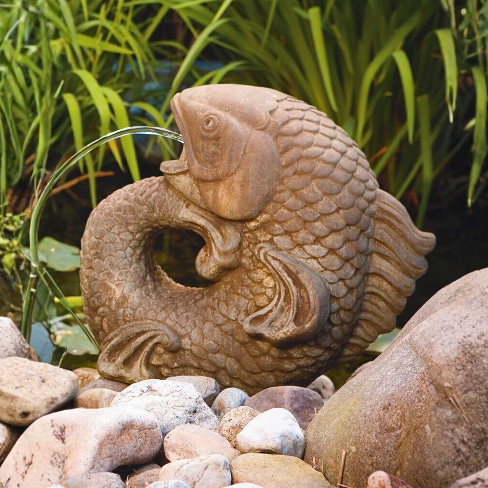 Curling Carp Large Plumbed Concrete Statue - Massarellis #9520