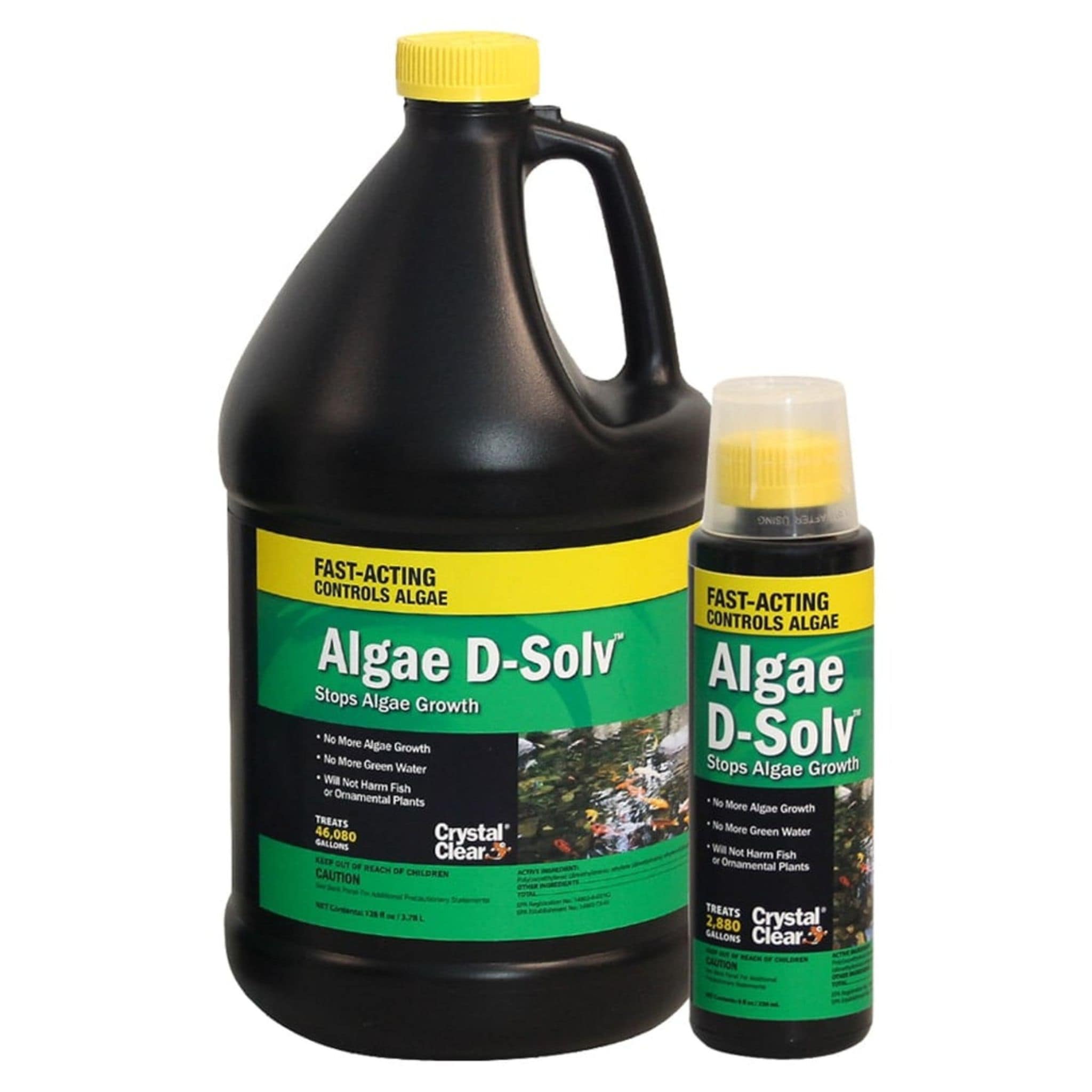 Algae D-Solv for Blue Thumb Fountains - Environmentally Safe
