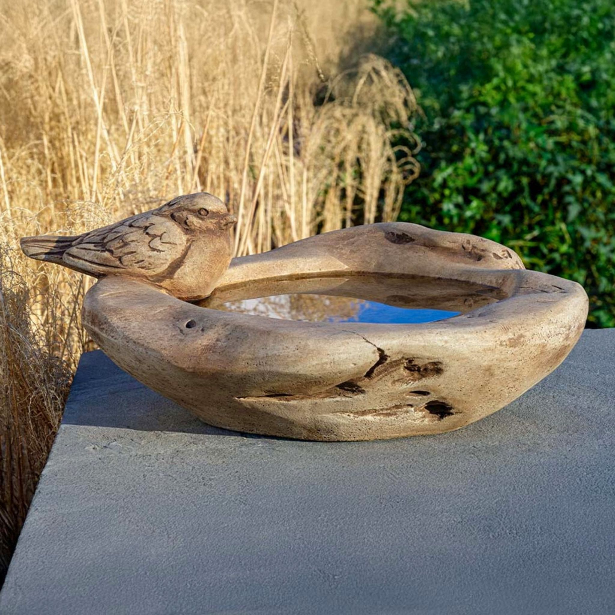 Robinson Crusoe Concrete Bird Bath - Campania #B208