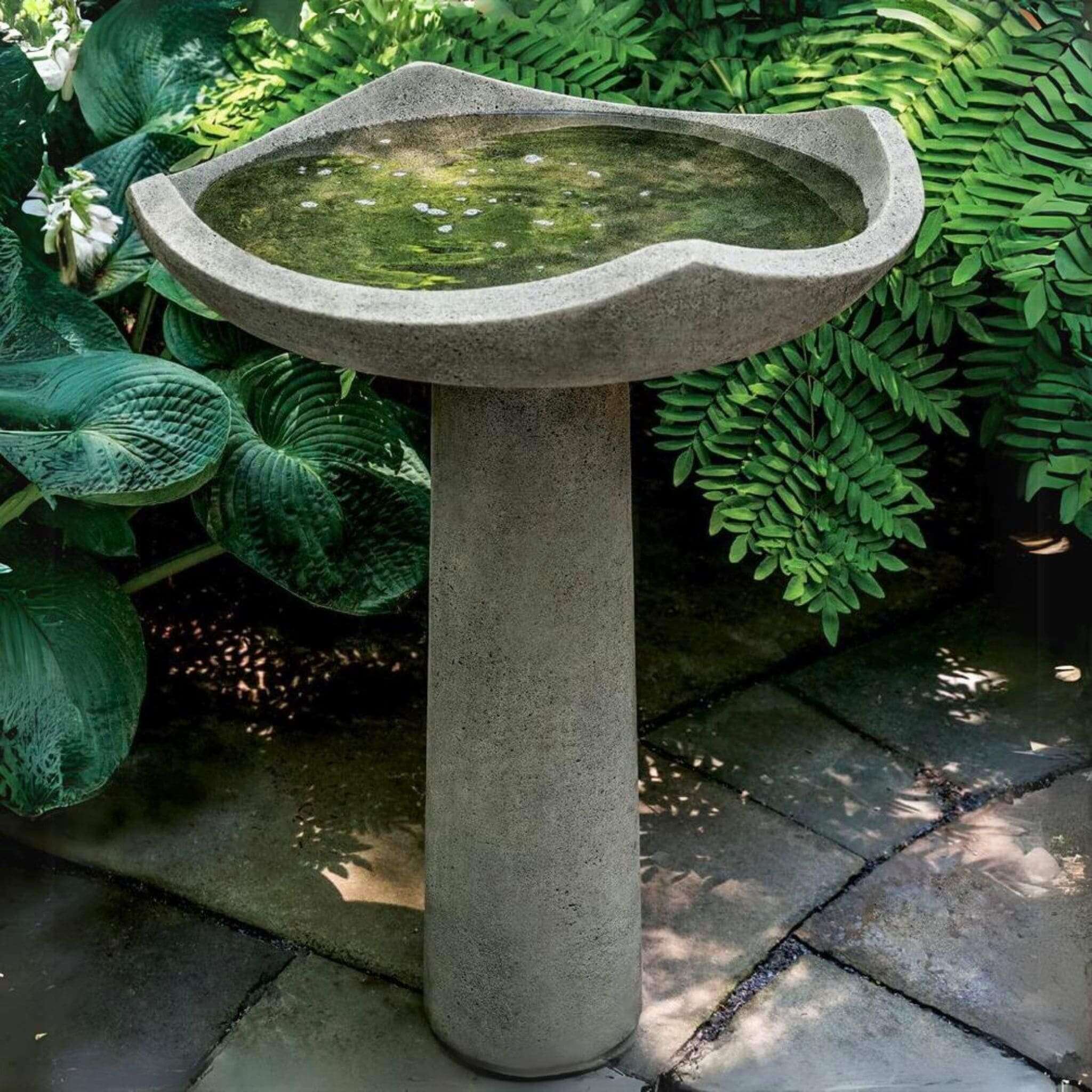 Oslo Large Concrete Bird Bath - Campania #B188