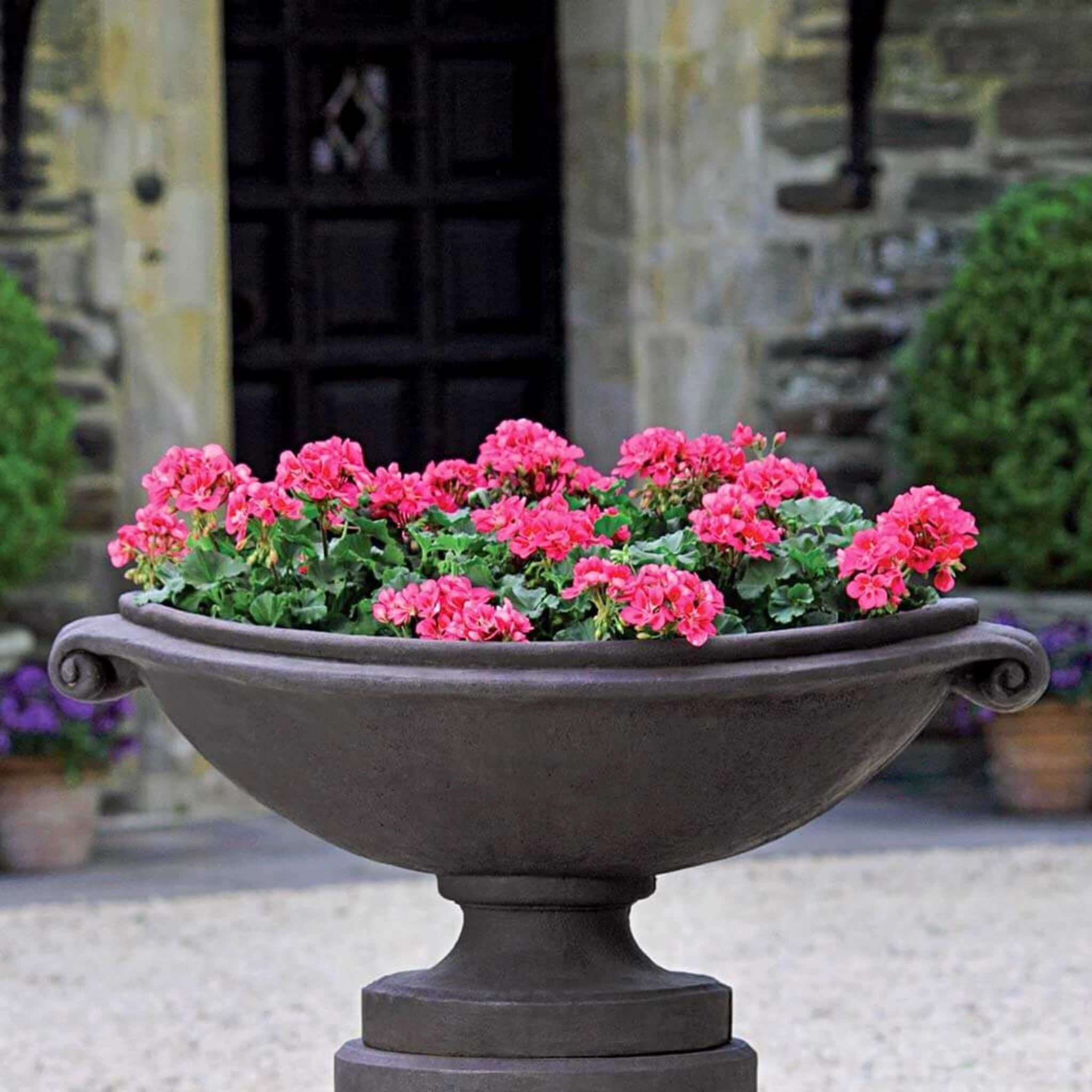 Medici Large Concrete Planter - Campania #P630
