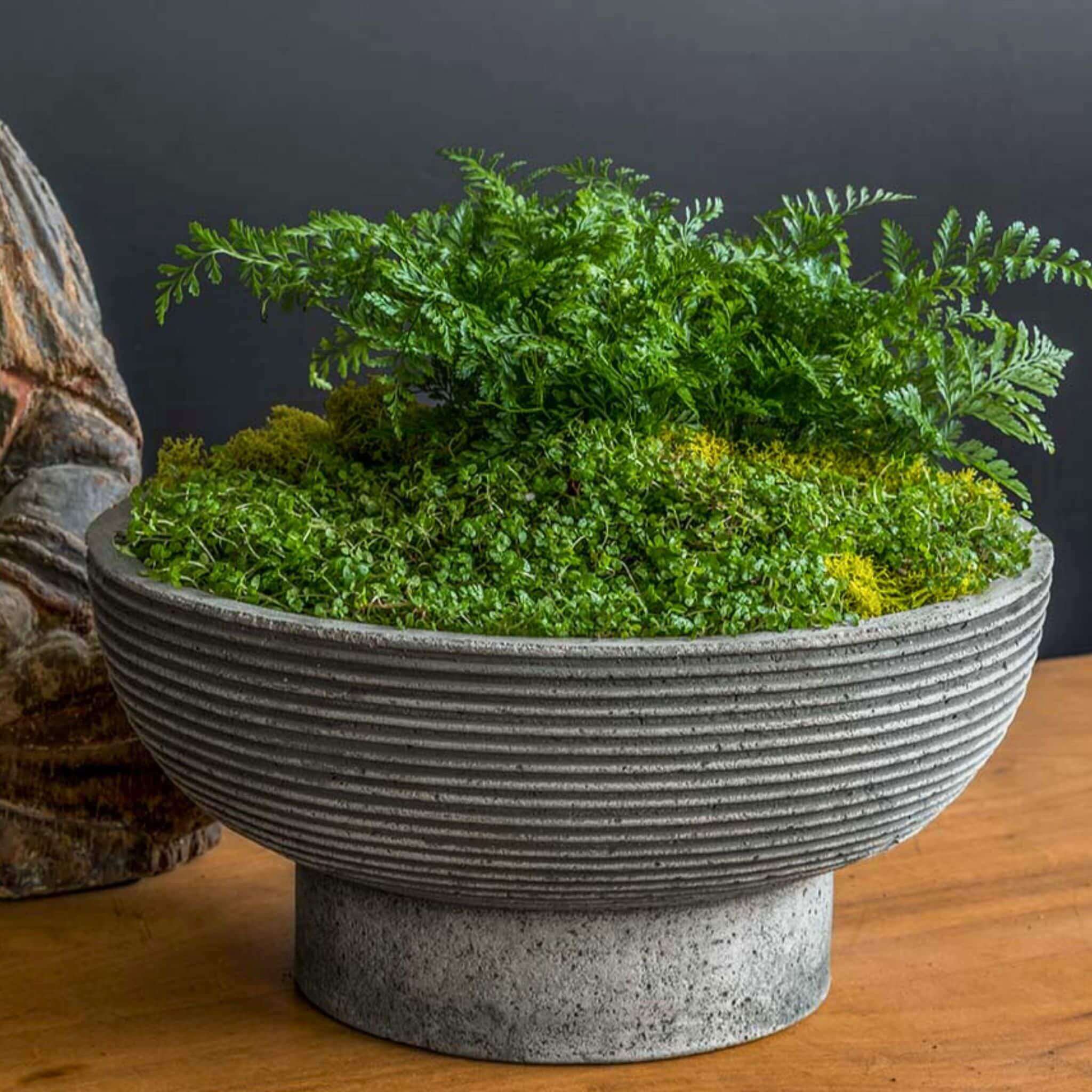 Calistoga Concrete Bowl Planter - Campania #P899