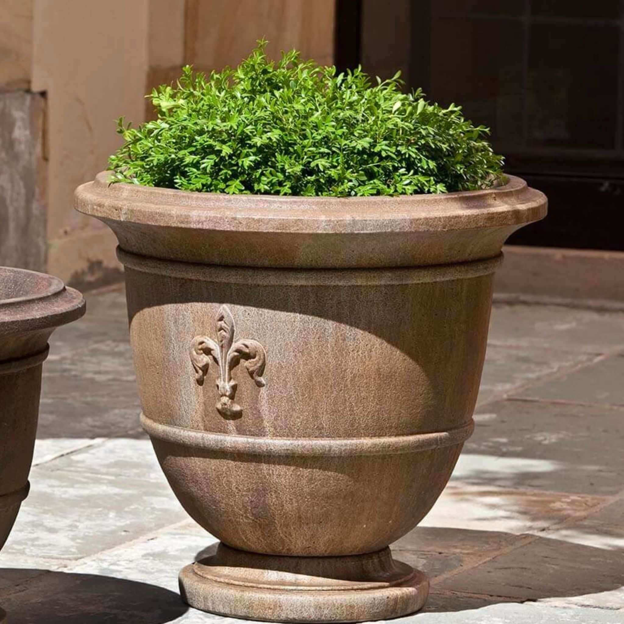 Fleur de Lis Large Concrete Urn Planter - Campania #P573