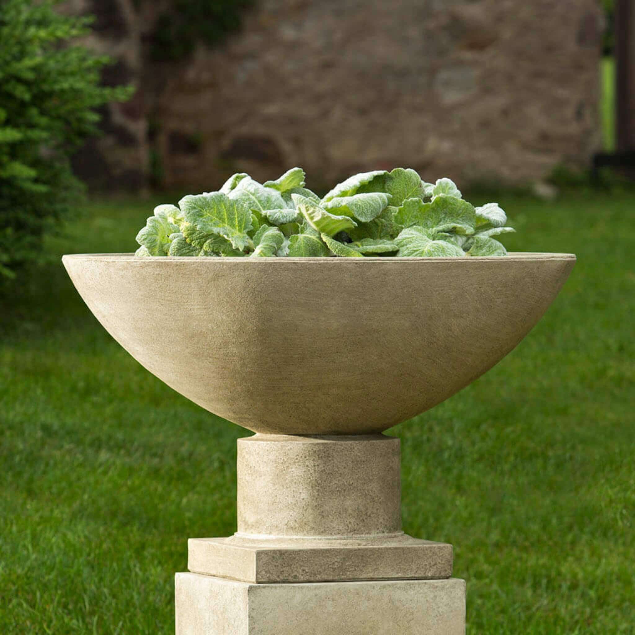 Savoy Concrete Planter - Campania #P622