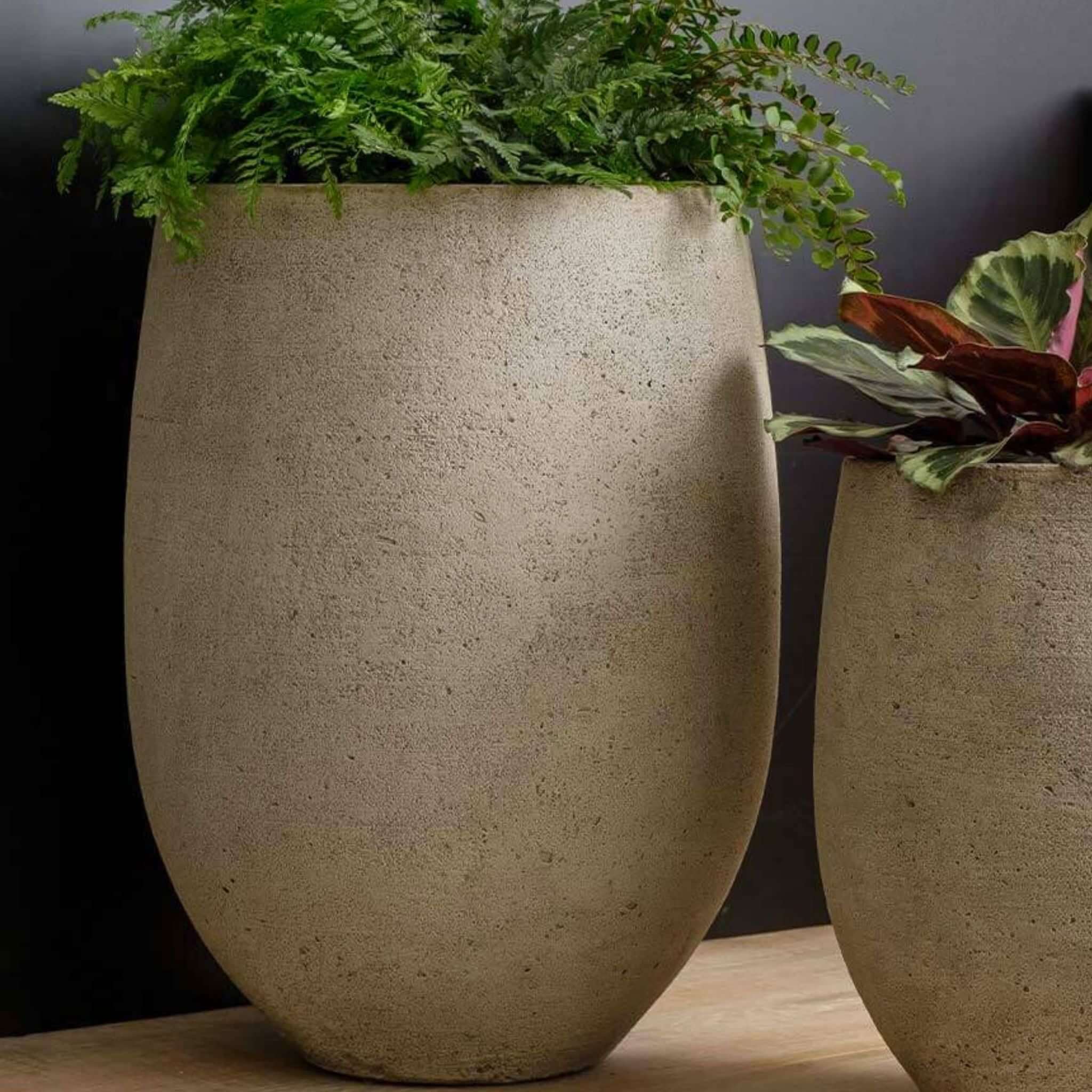 Bebel Tall Concrete Planter - Campania #P930