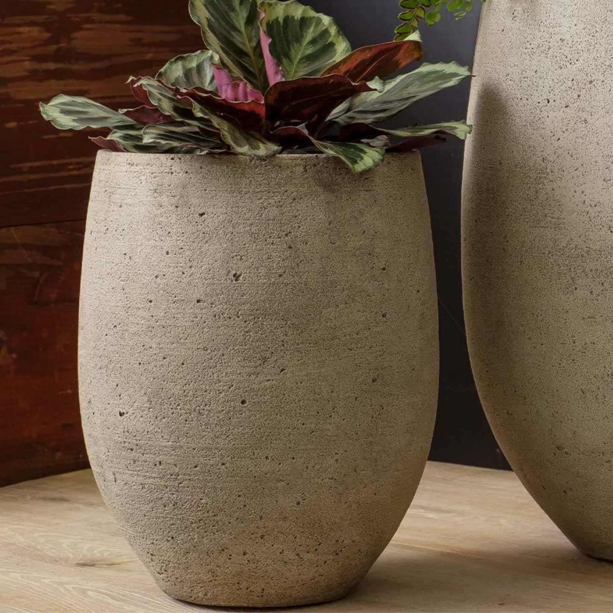 Bebel Concrete Planter - Campania #P931