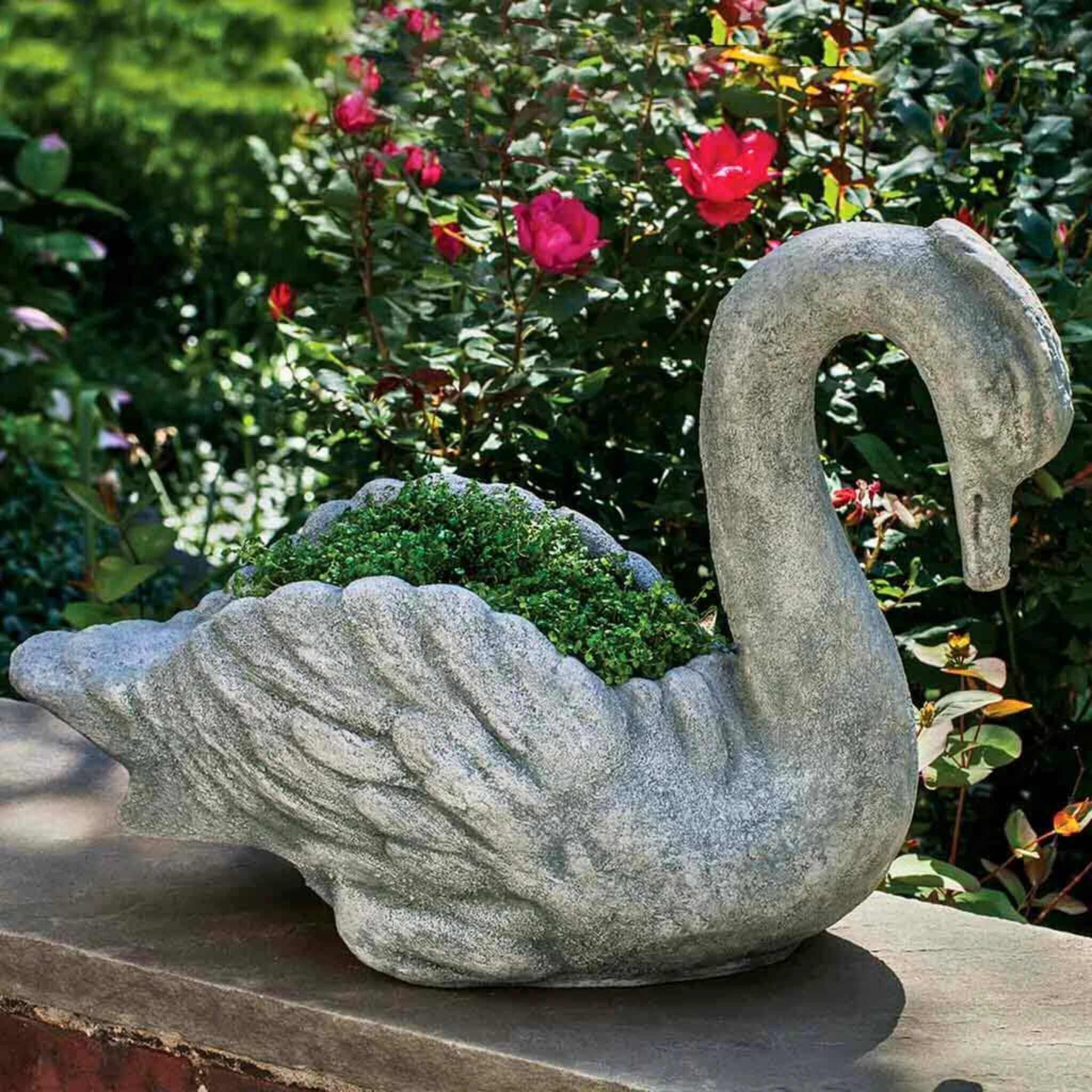 Newport Swan Concrete Planter - Campania #P678