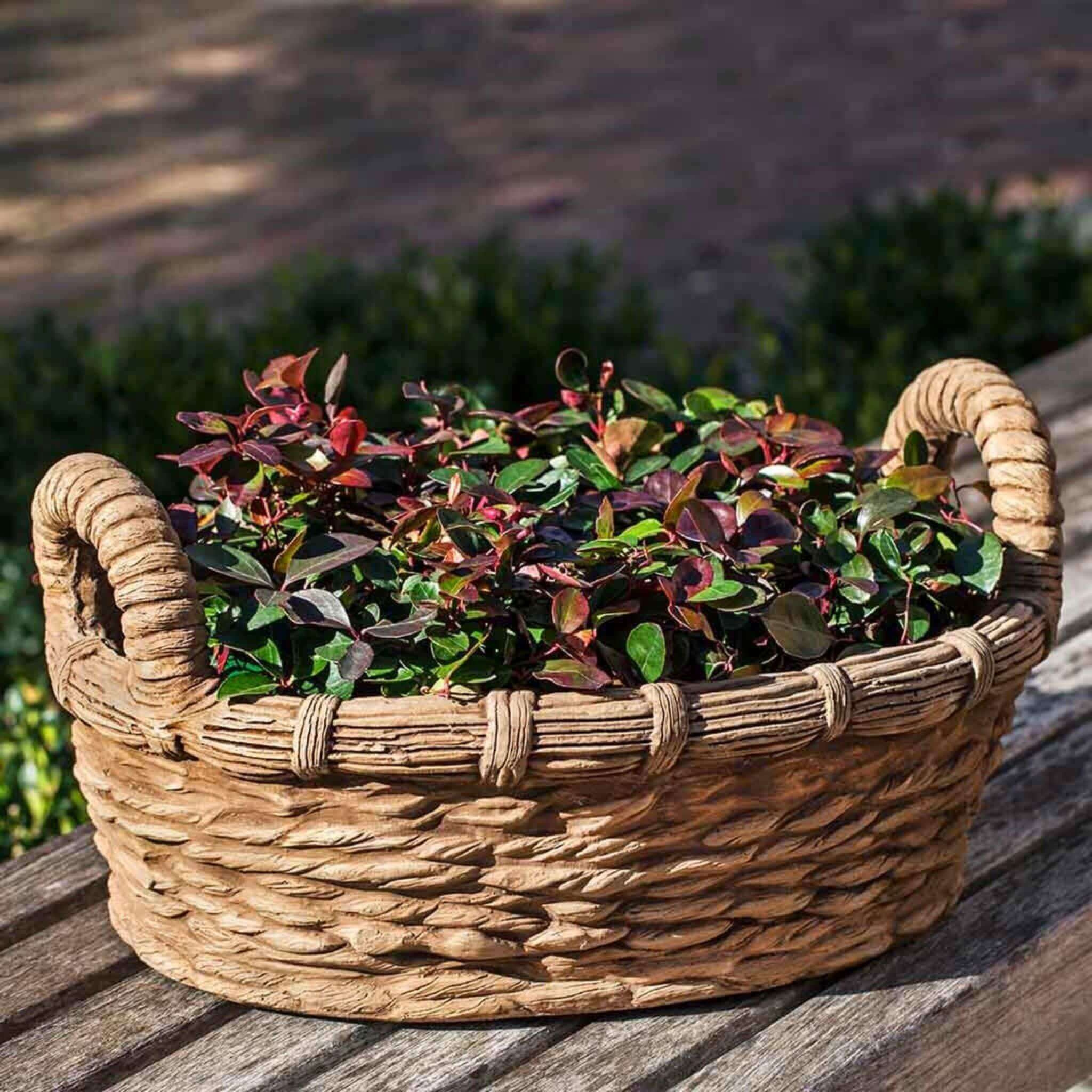 planter woven basket Campania International Provencal Basket Planter