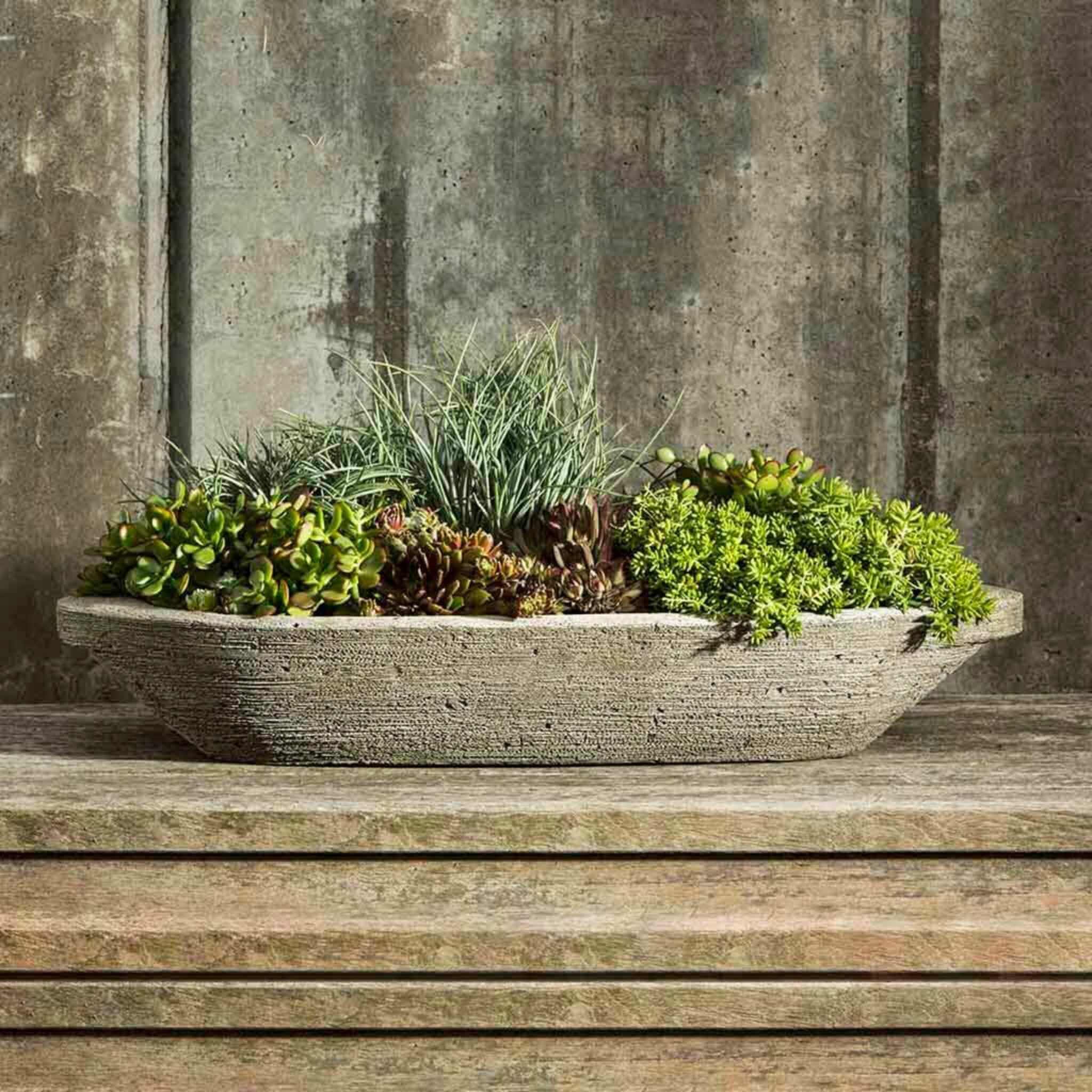 large concrete succulent planter Campania International Barca Planter