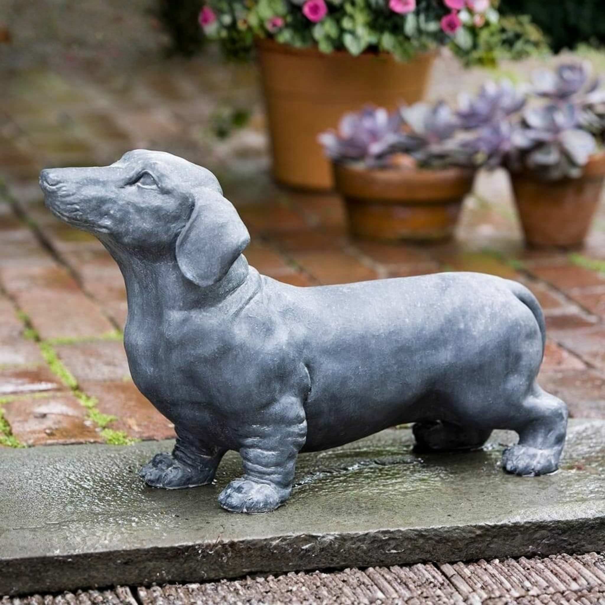 Fritz Dachshund Concrete Garden Statue - Campania #A338 - Dog Decor