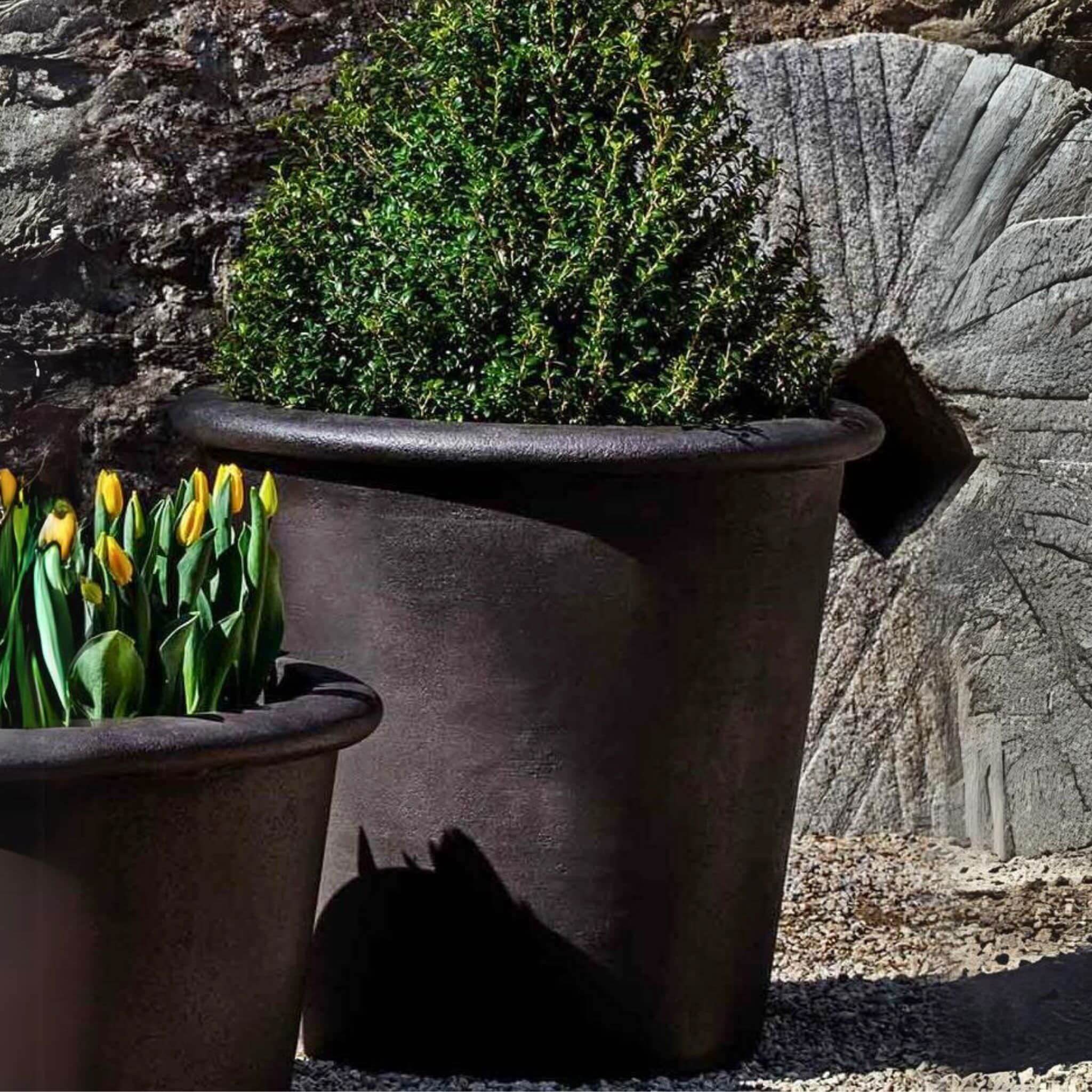Palo Alto Tall Concrete Planter - Campania #P738
