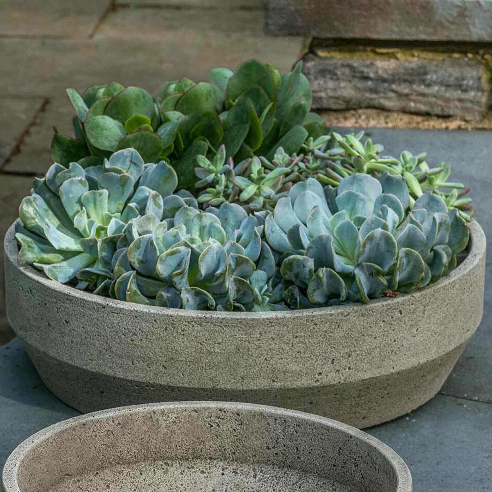Outside Large Bowl Planters Orinoco Large Bowl Planter | Crescent