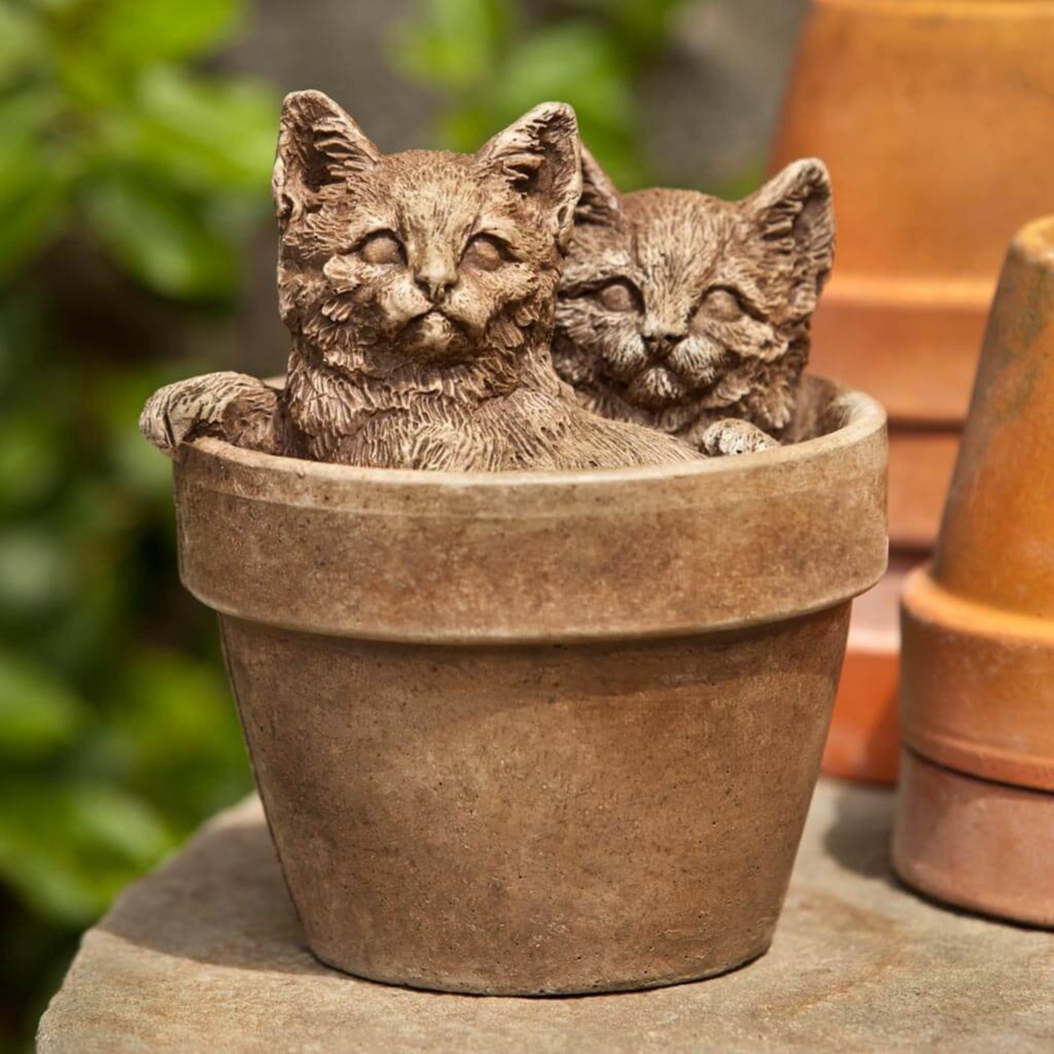 Sprouts Kittens Concrete Garden Statue - Campania #A437 - Cat Decor