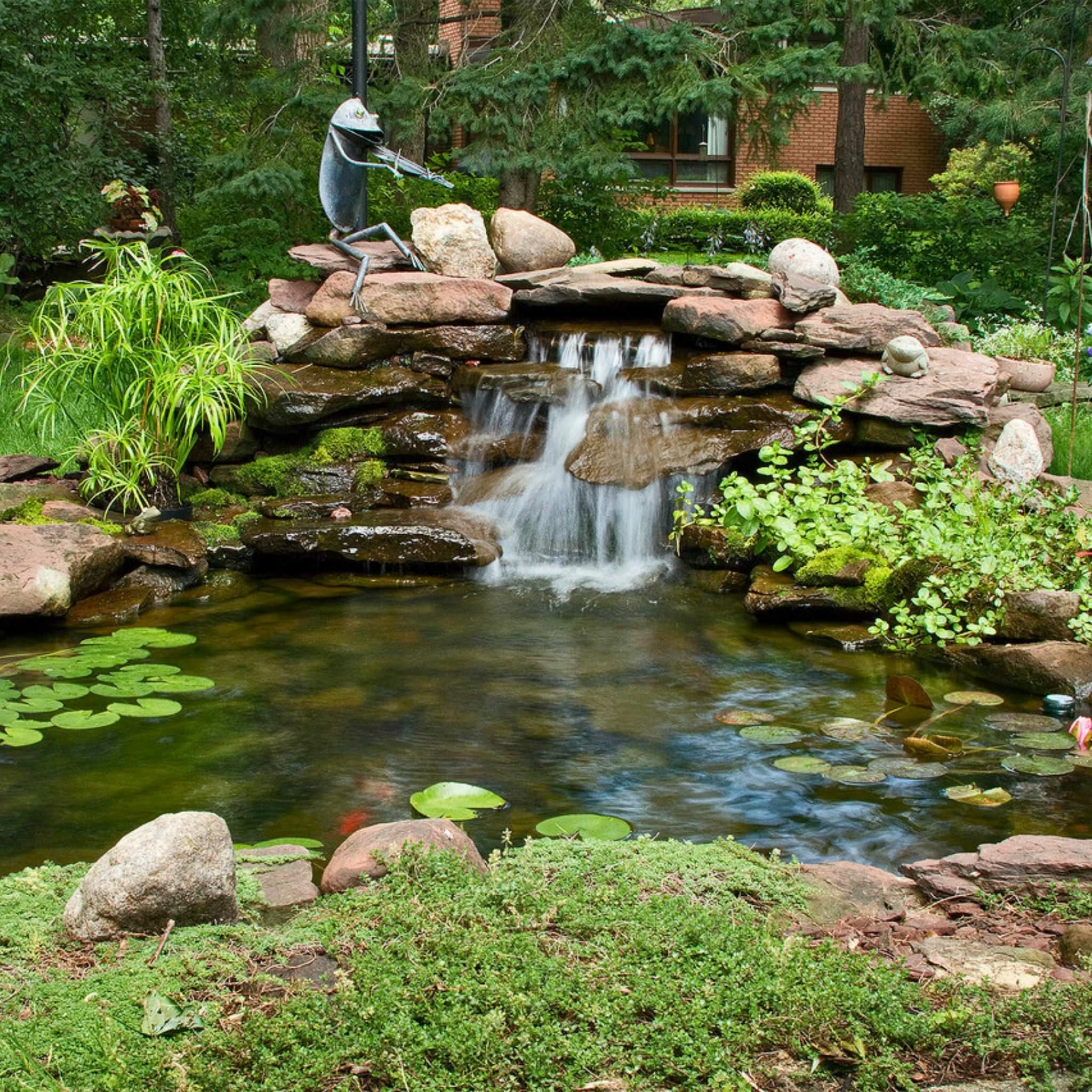 Large Pond DIY Kit - Blue Thumb