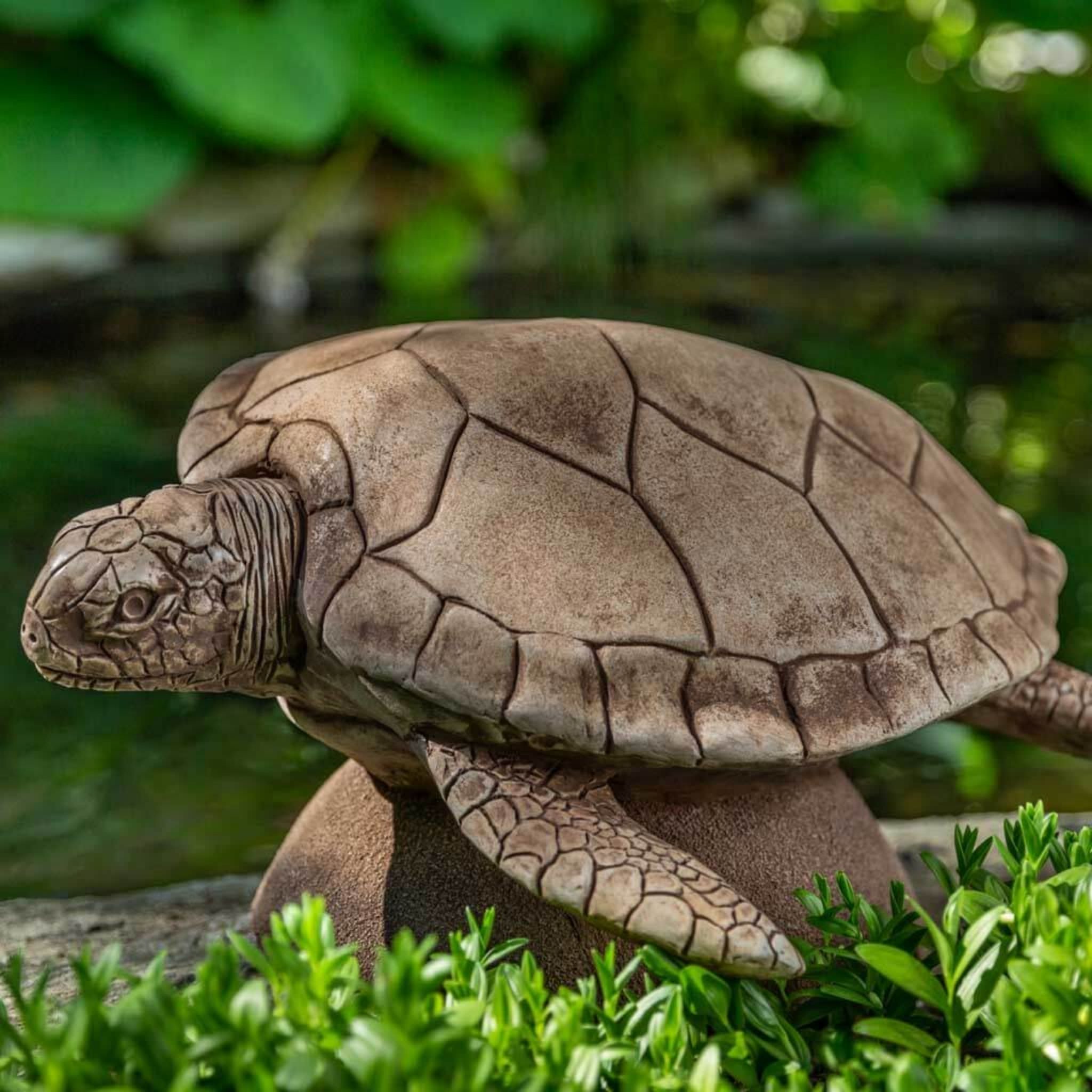 Large Sea Turtle Concrete Garden Statue - Campania #A614