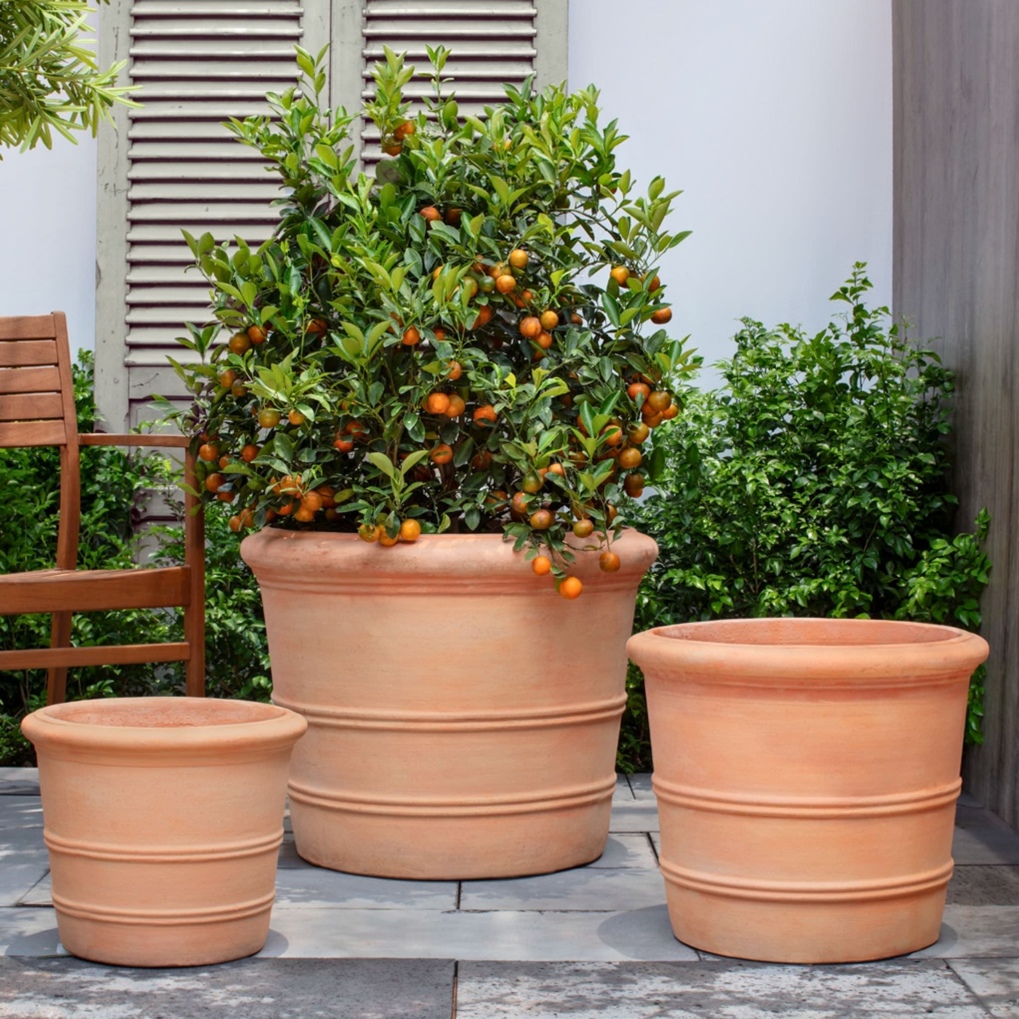 Classic Orangerie Set of 3 Terra Cotta Planters - Campania #8360