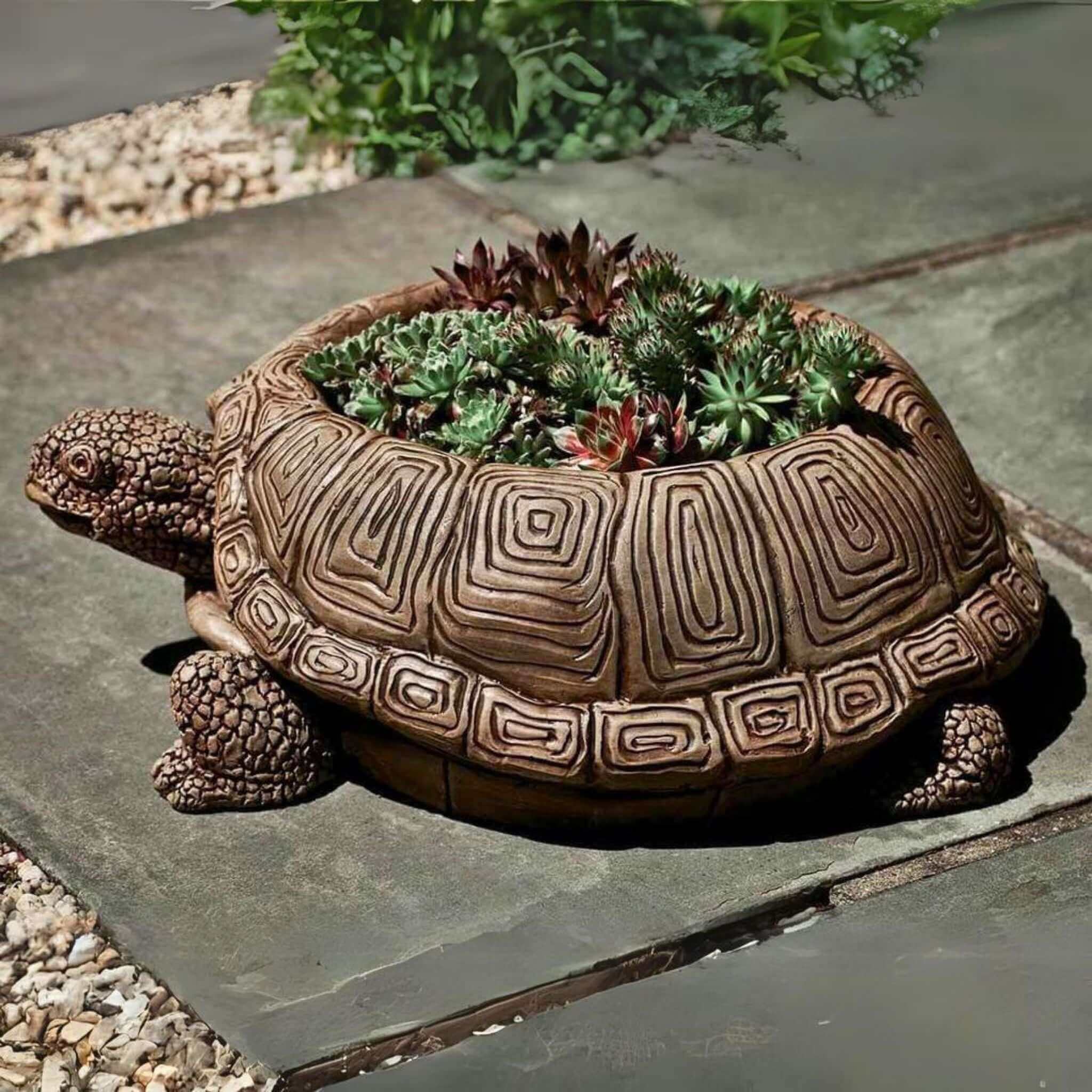 Turtle Concrete Planter - Campania