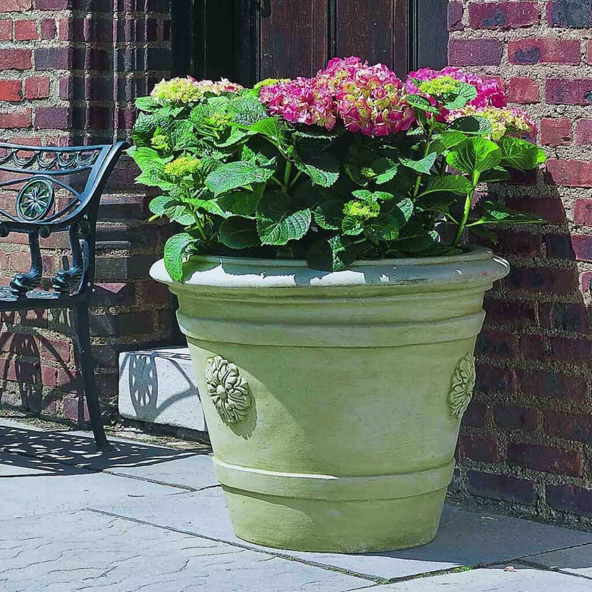 Certosa Medallion Concrete Planter - Campania #P297