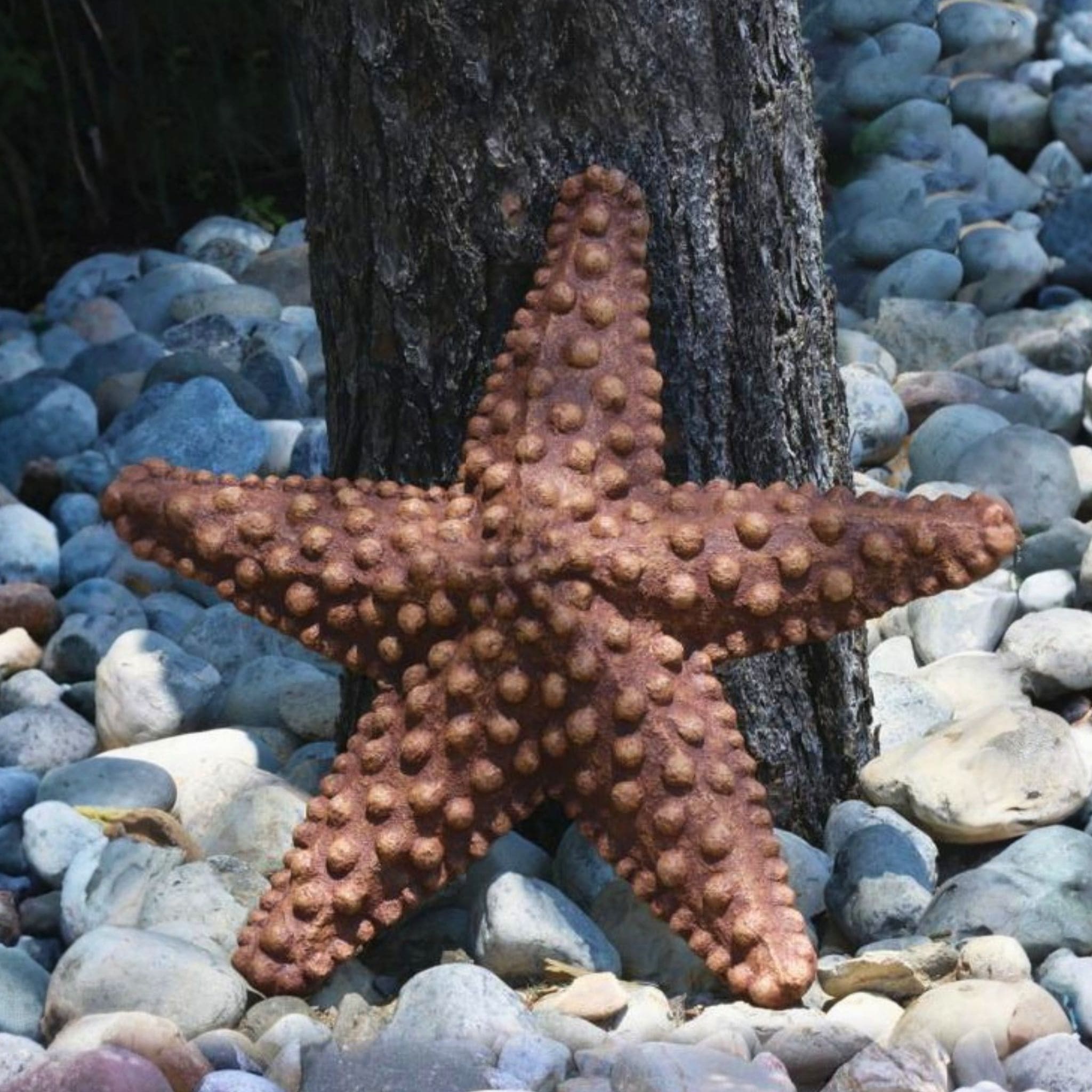 Star of the Sea Concrete Star Fish Statue - Massarellis #4089