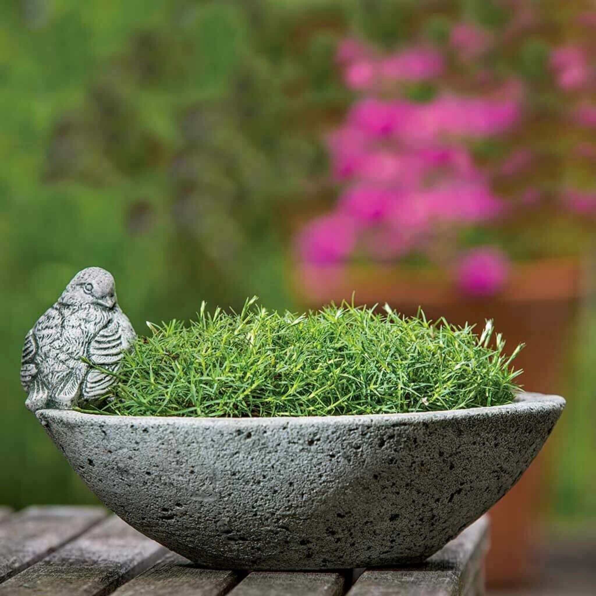 Aurielle Concrete Planter - Campania #P627
