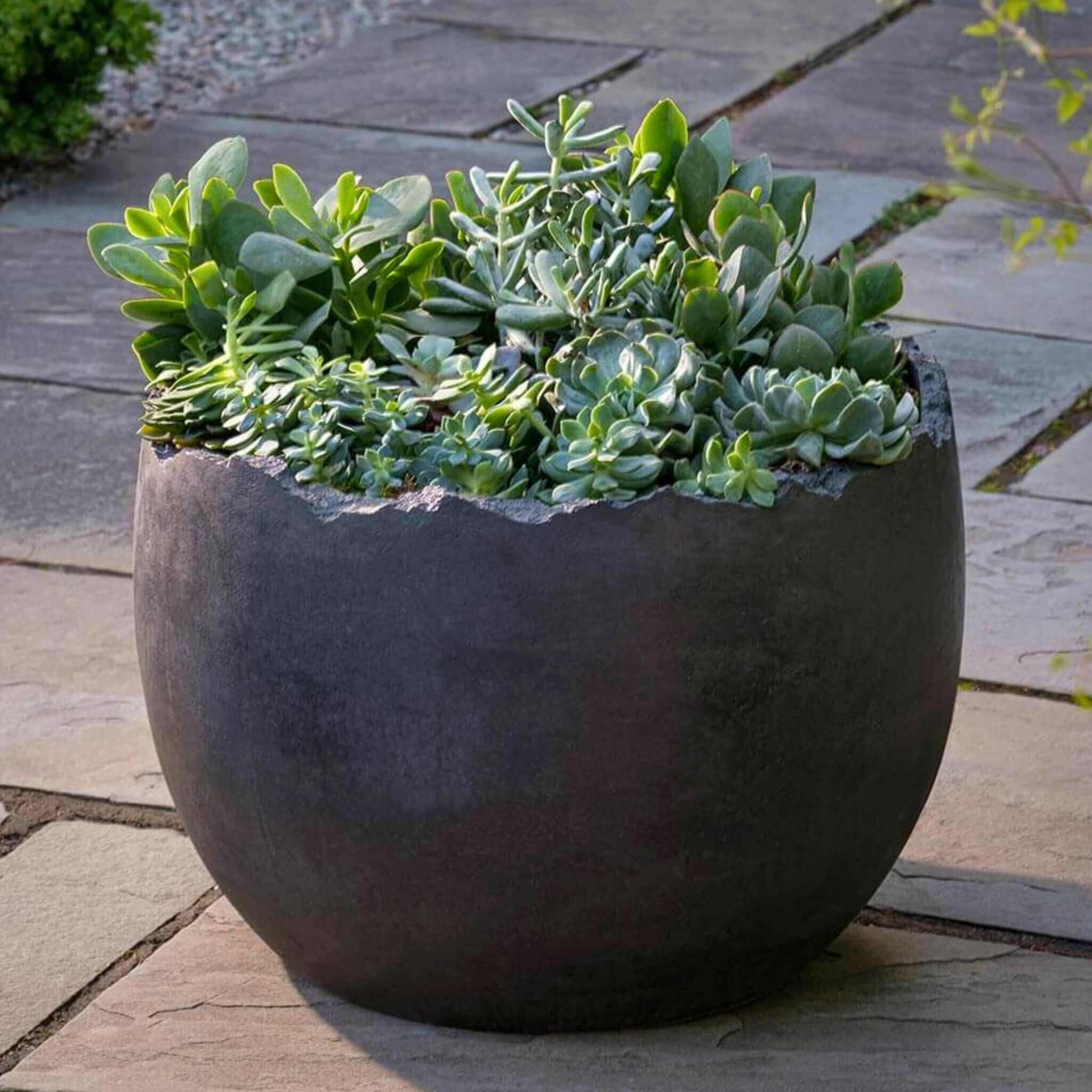 egg planter pot Campania International | Broken Grade AA Egg Planter Nero Nuovo