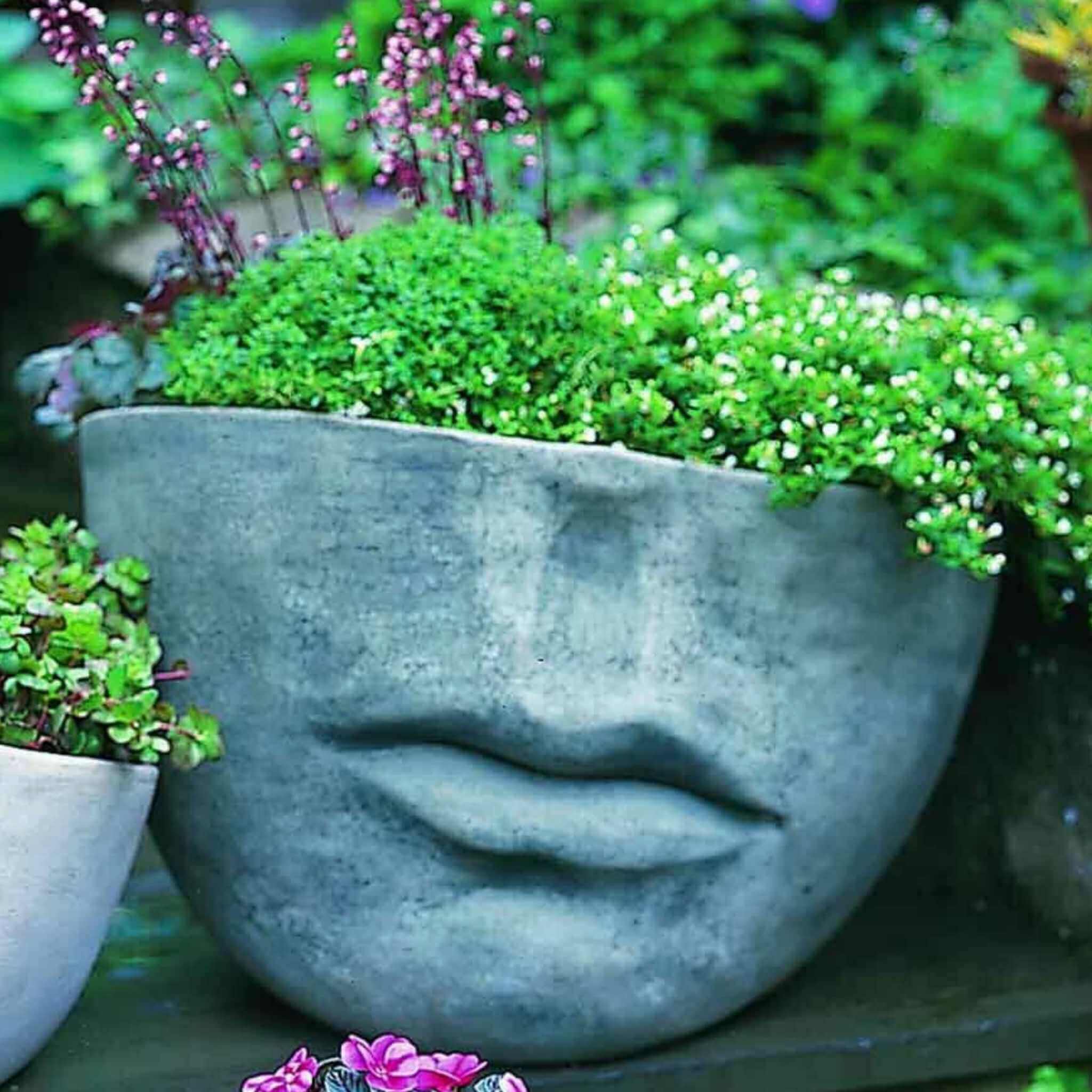Faccia Large Concrete Planter - Campania #P176