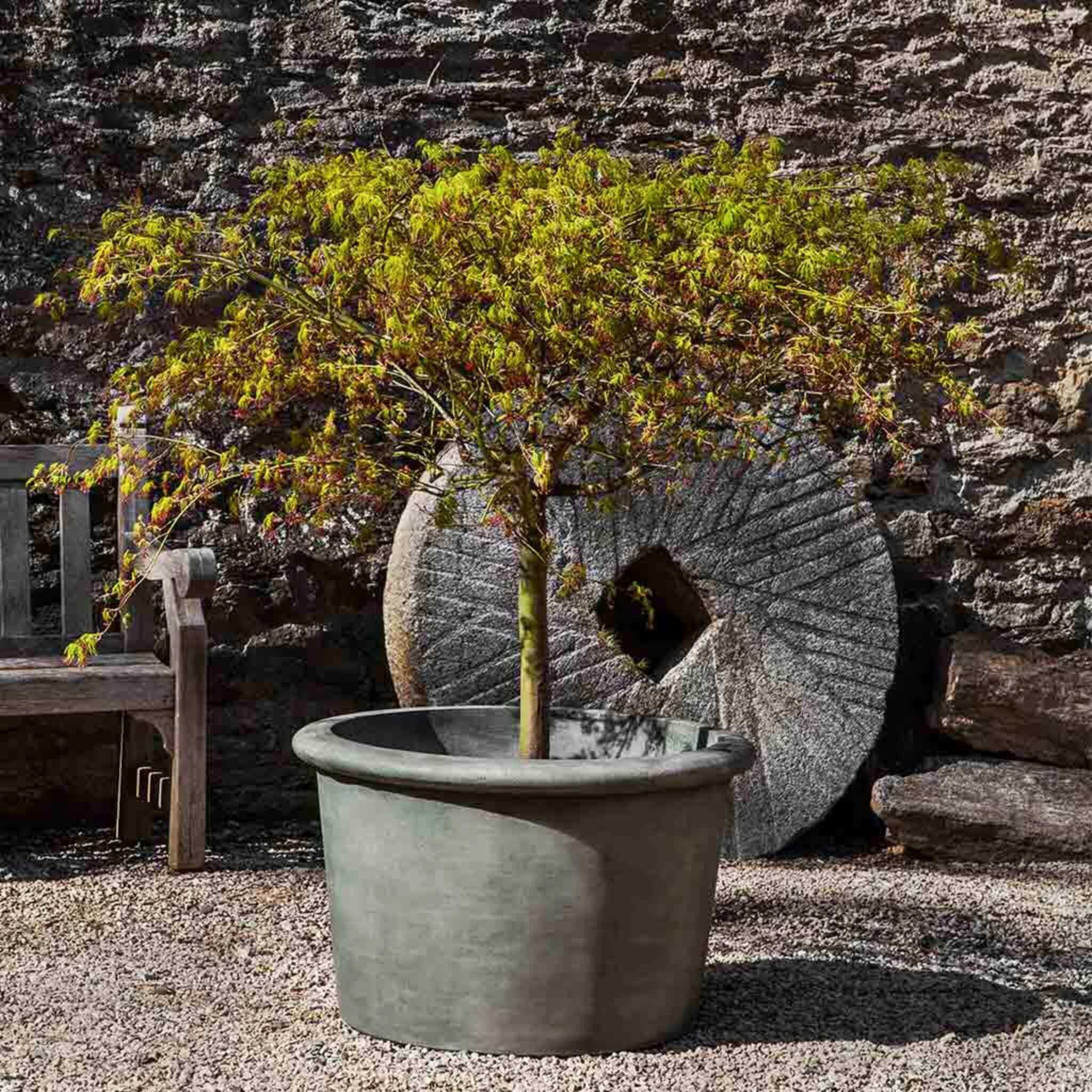 Palo Alto Low Concrete Planter - Campania #P739