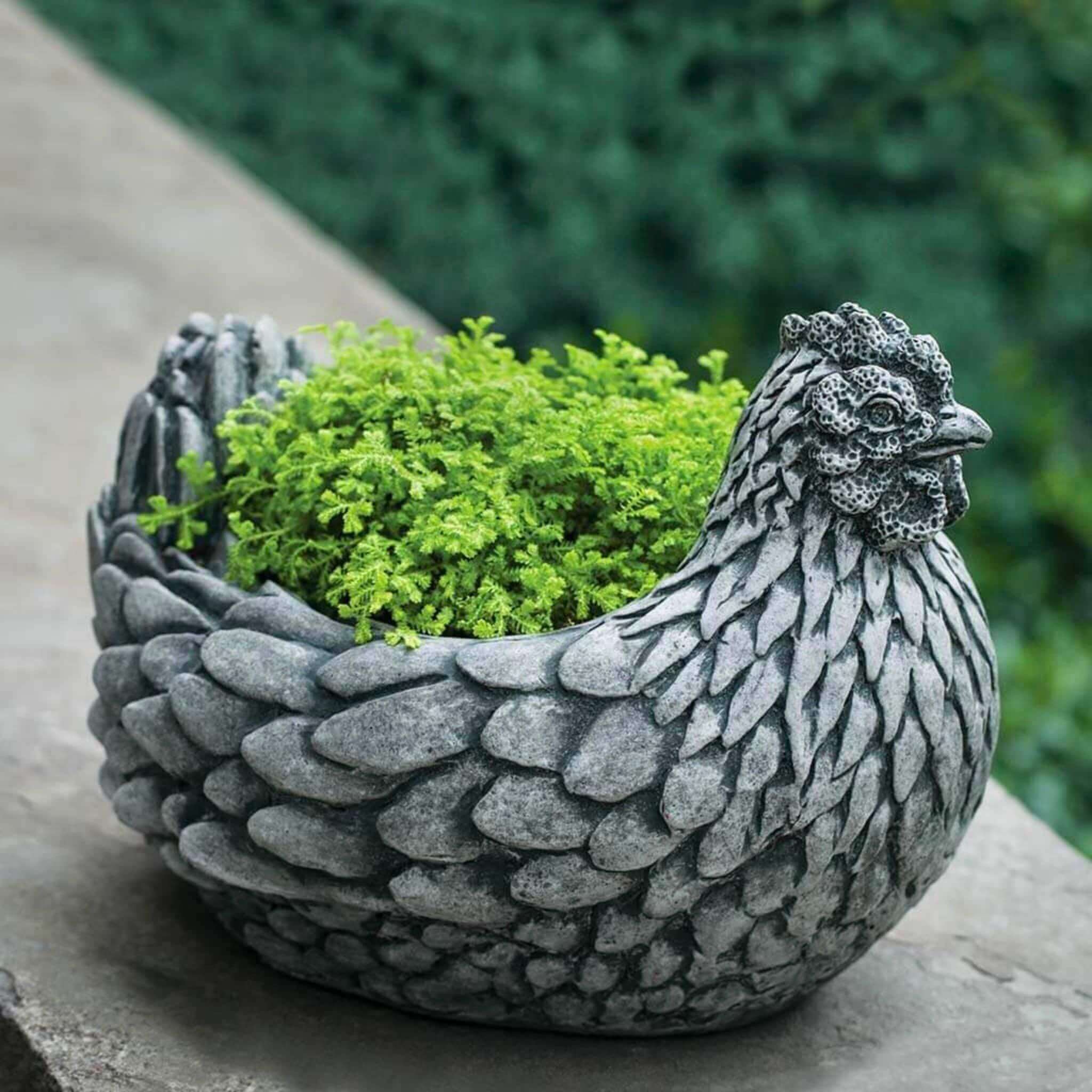 rooster planter pot Campania International Chicken Planter Alpine Stone