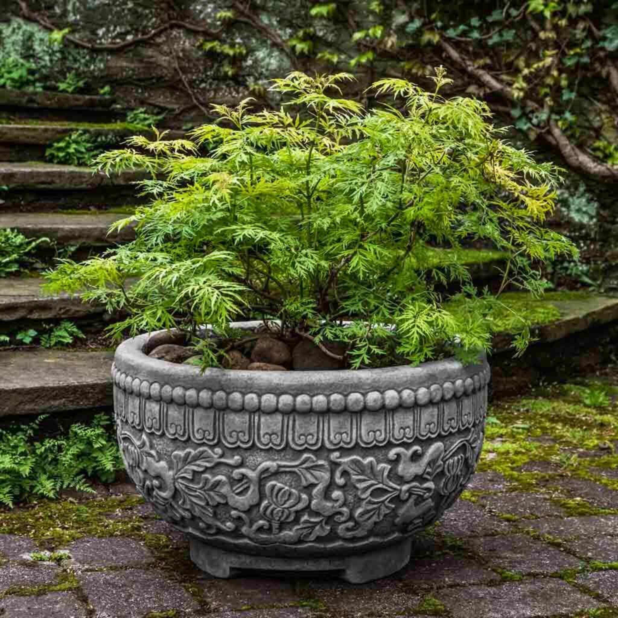 jaipur ceramic pot planter Campania International Jaipur Bowl Planter Alpine Stone