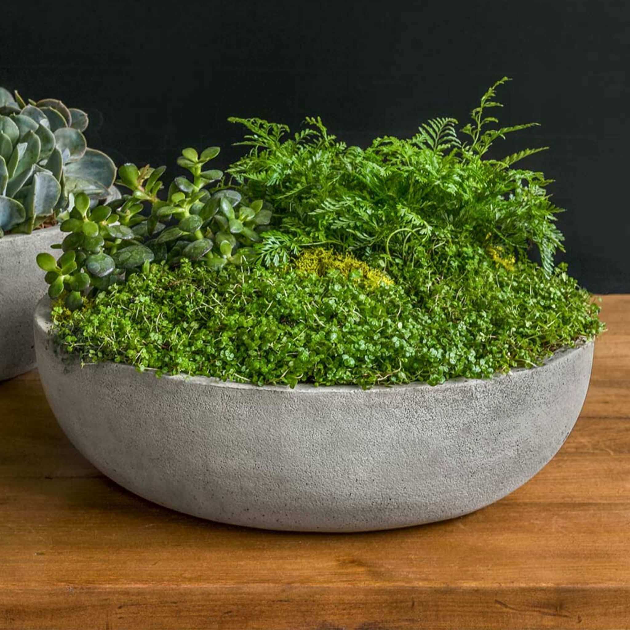 large bowl planter indoor Campania International | Terrace Medium Bowl Alpine Stone