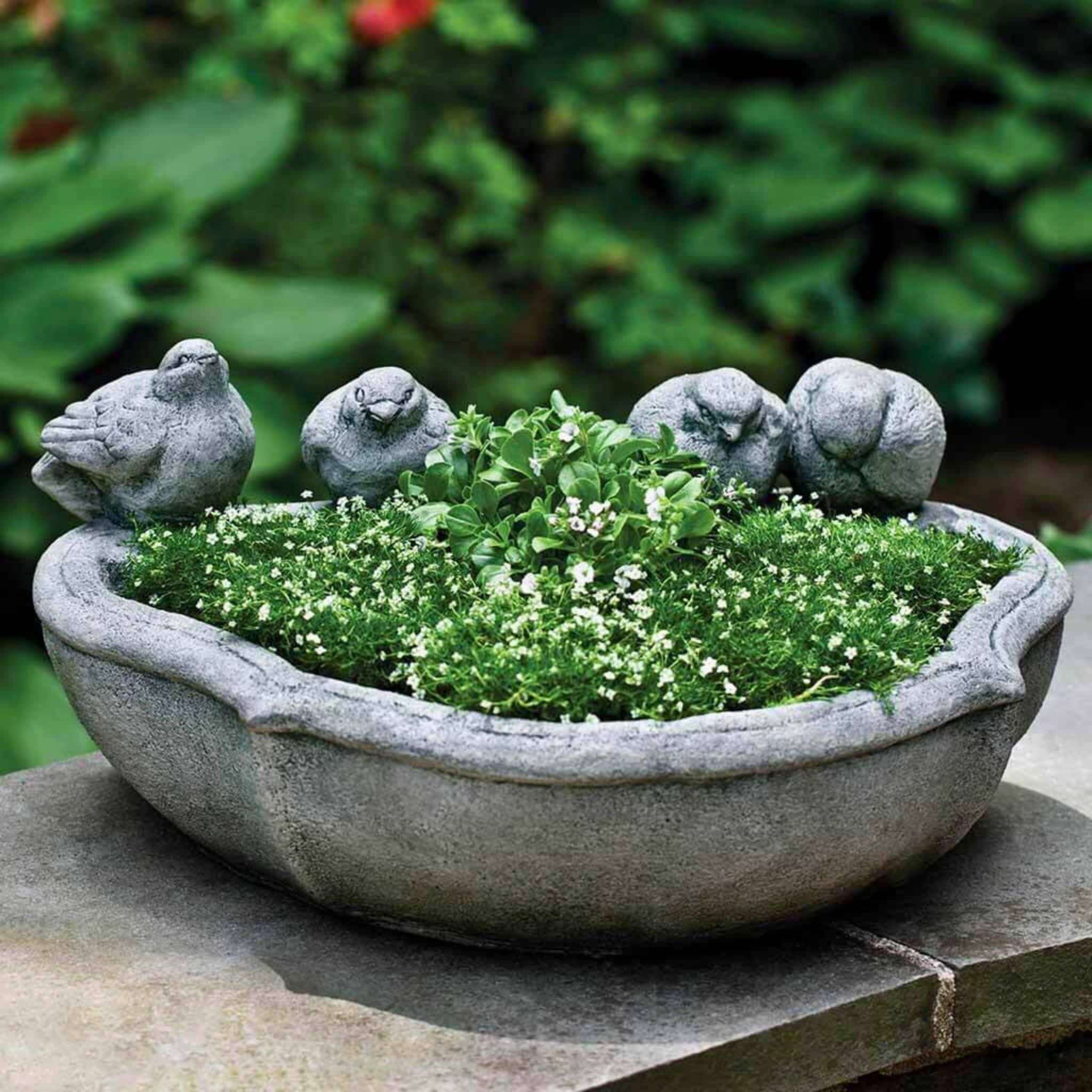 Alouette Concrete Planter - Campania #P658