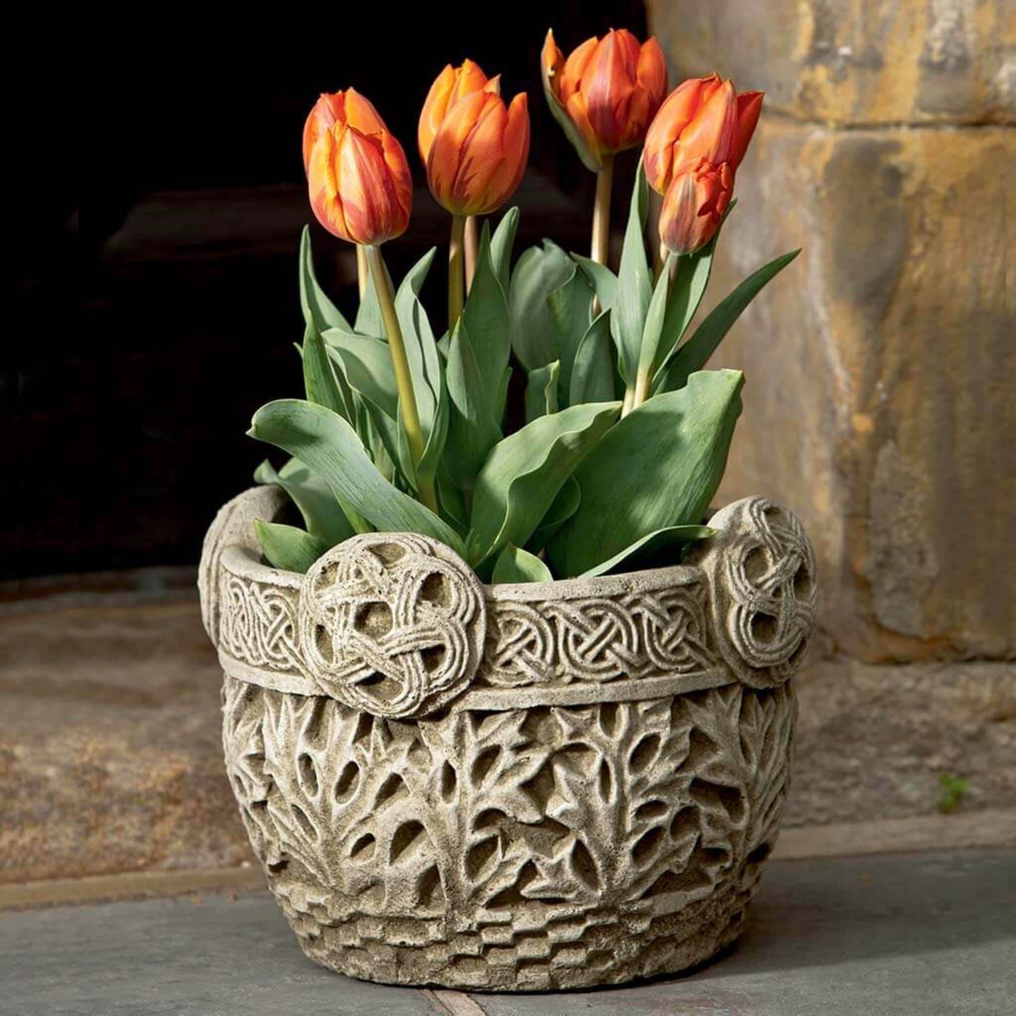 Garth Concrete Planter - Campania #P601
