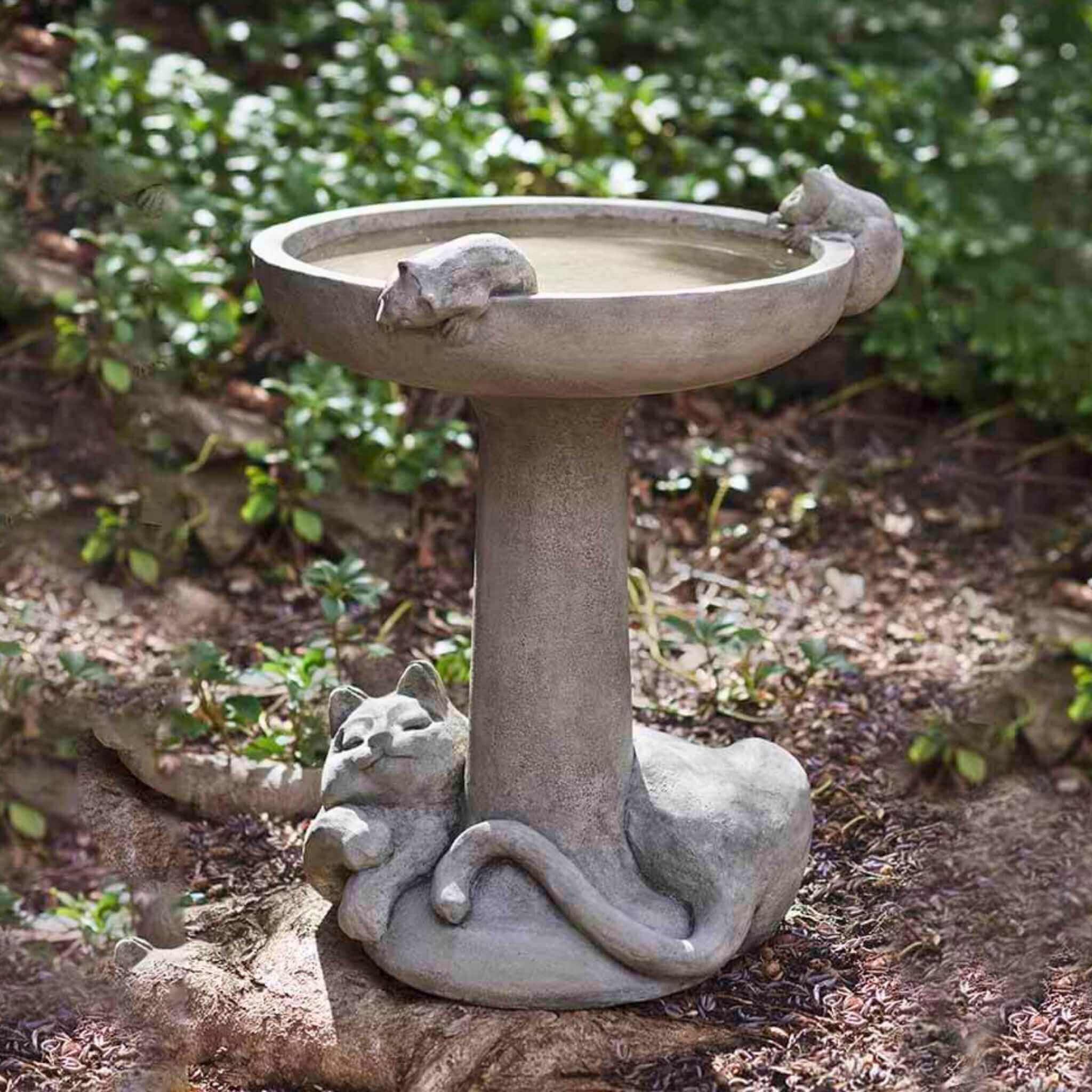 Catnap Concrete Bird Bath - Campania #B127