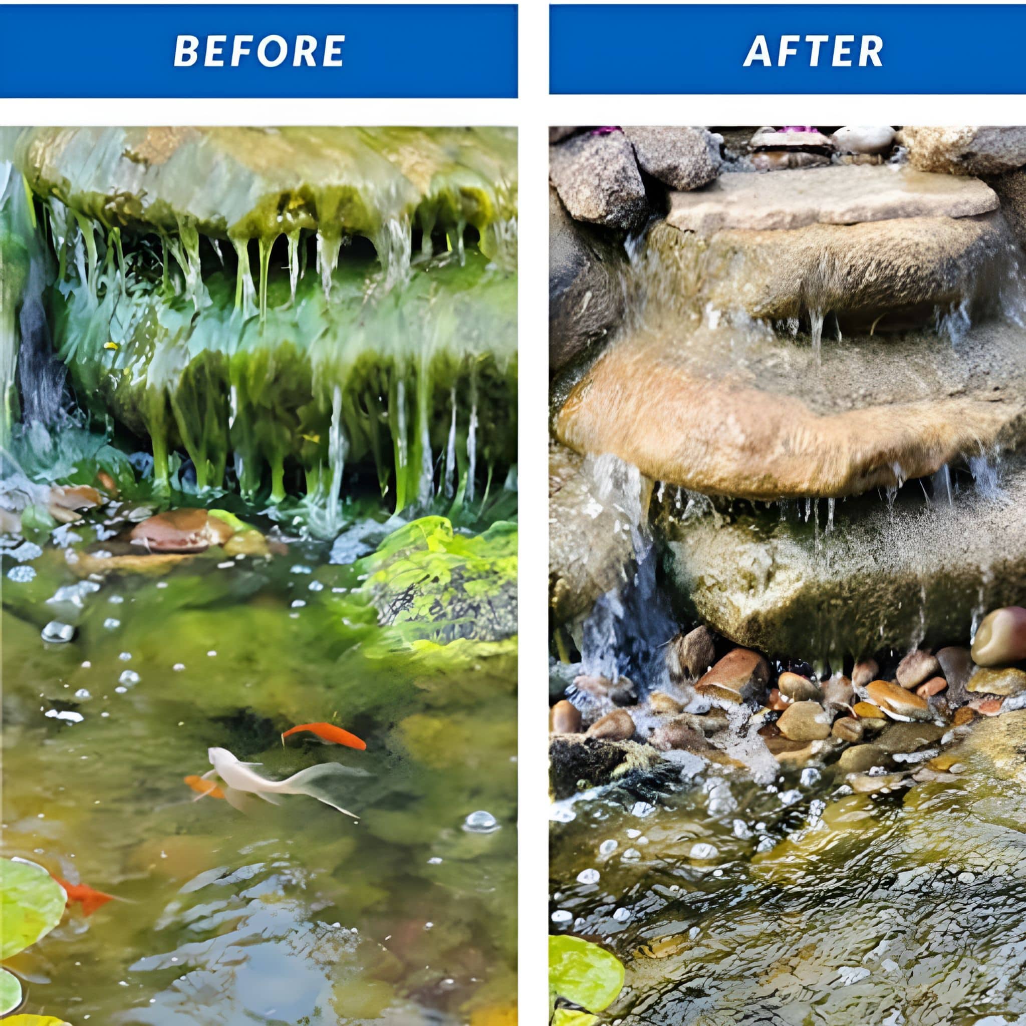 Algae D-Solv for Blue Thumb Fountains - Environmentally Safe