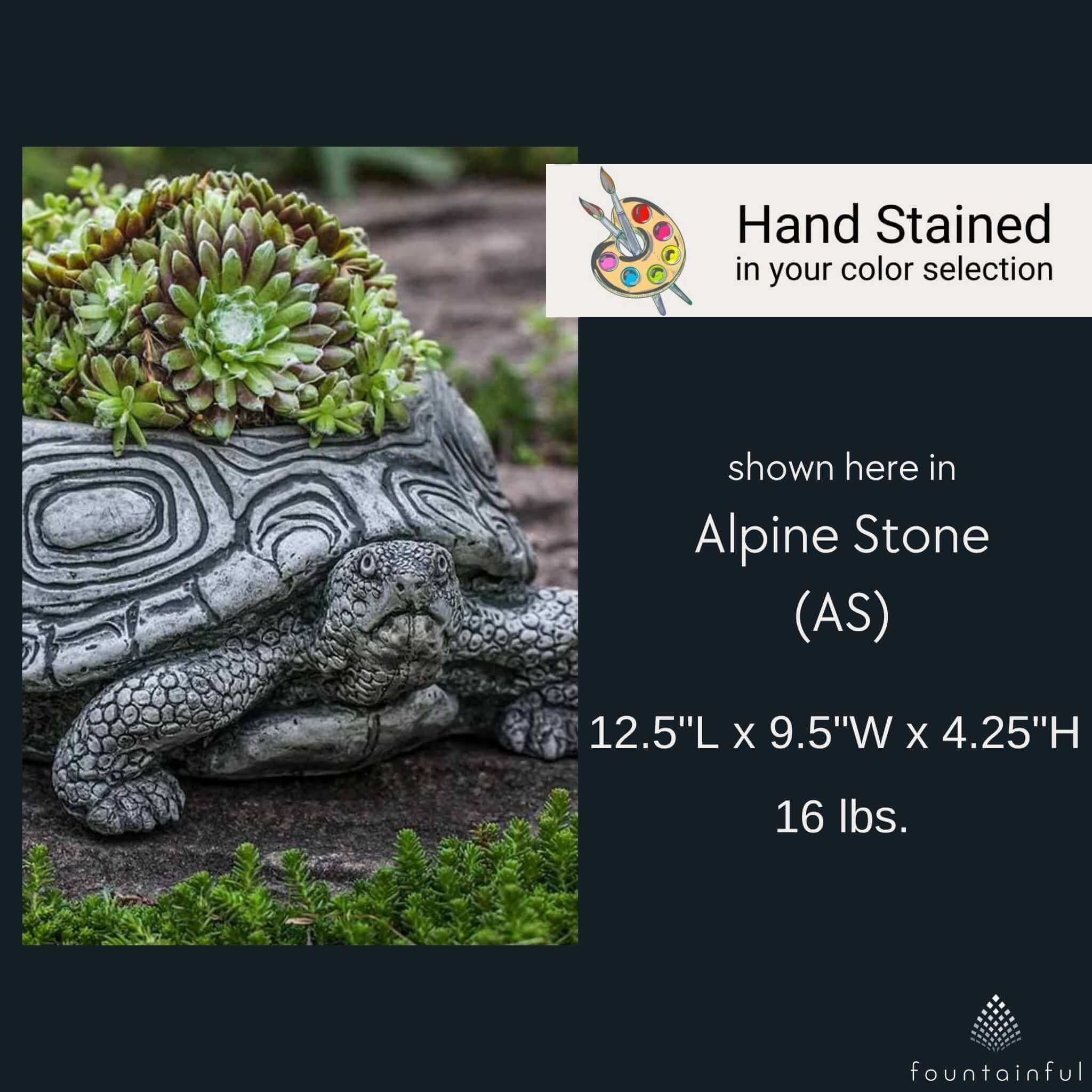 Turtle Small Concrete Planter - Campania #P714