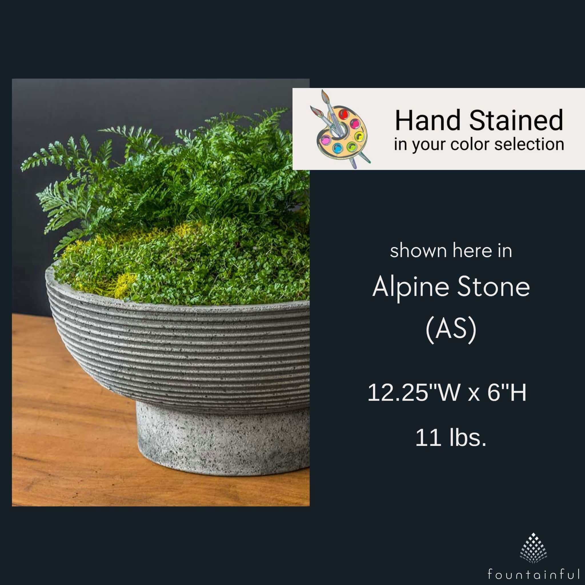 Calistoga Concrete Bowl Planter - Campania #P899