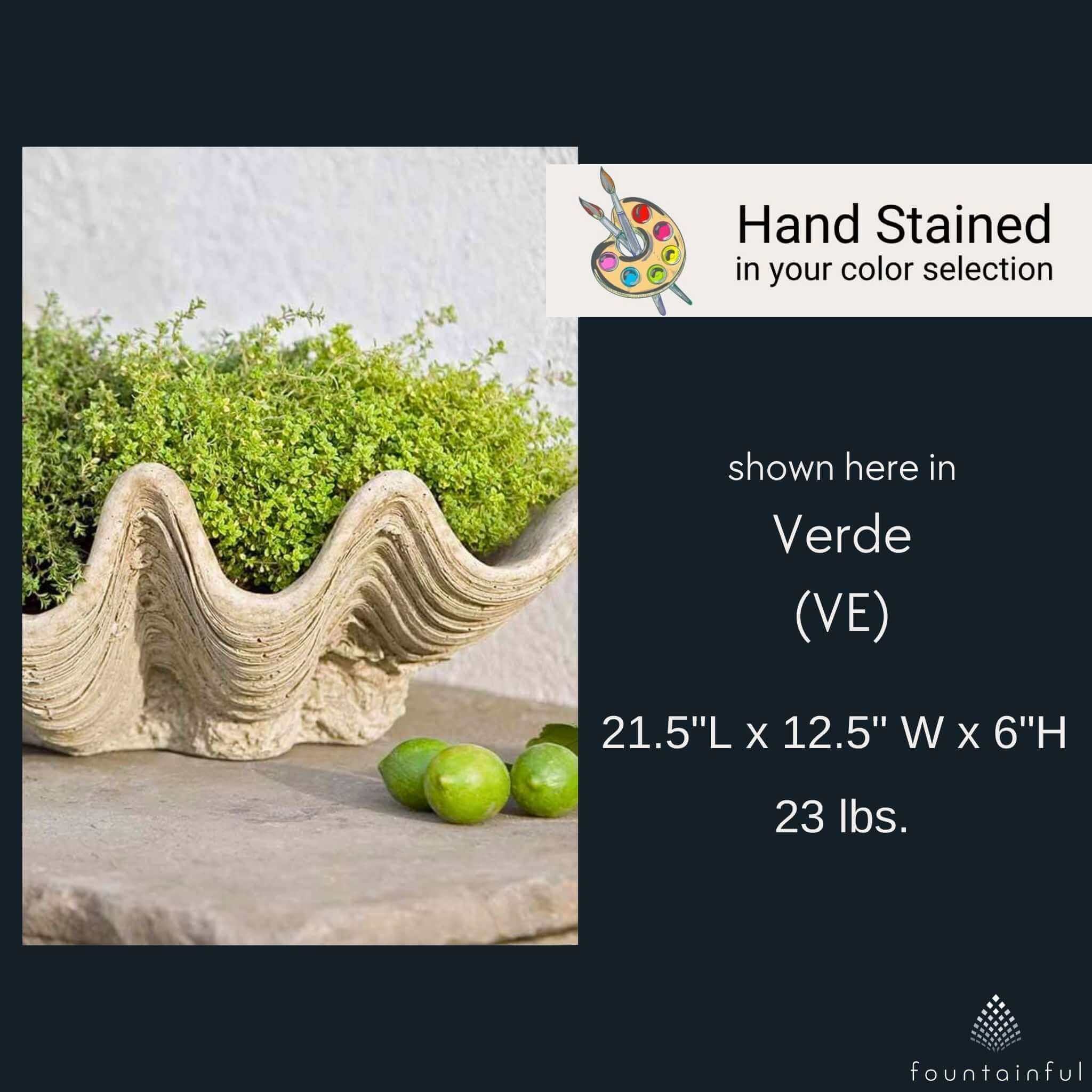 South Seas Concrete Planter - Campania #P441