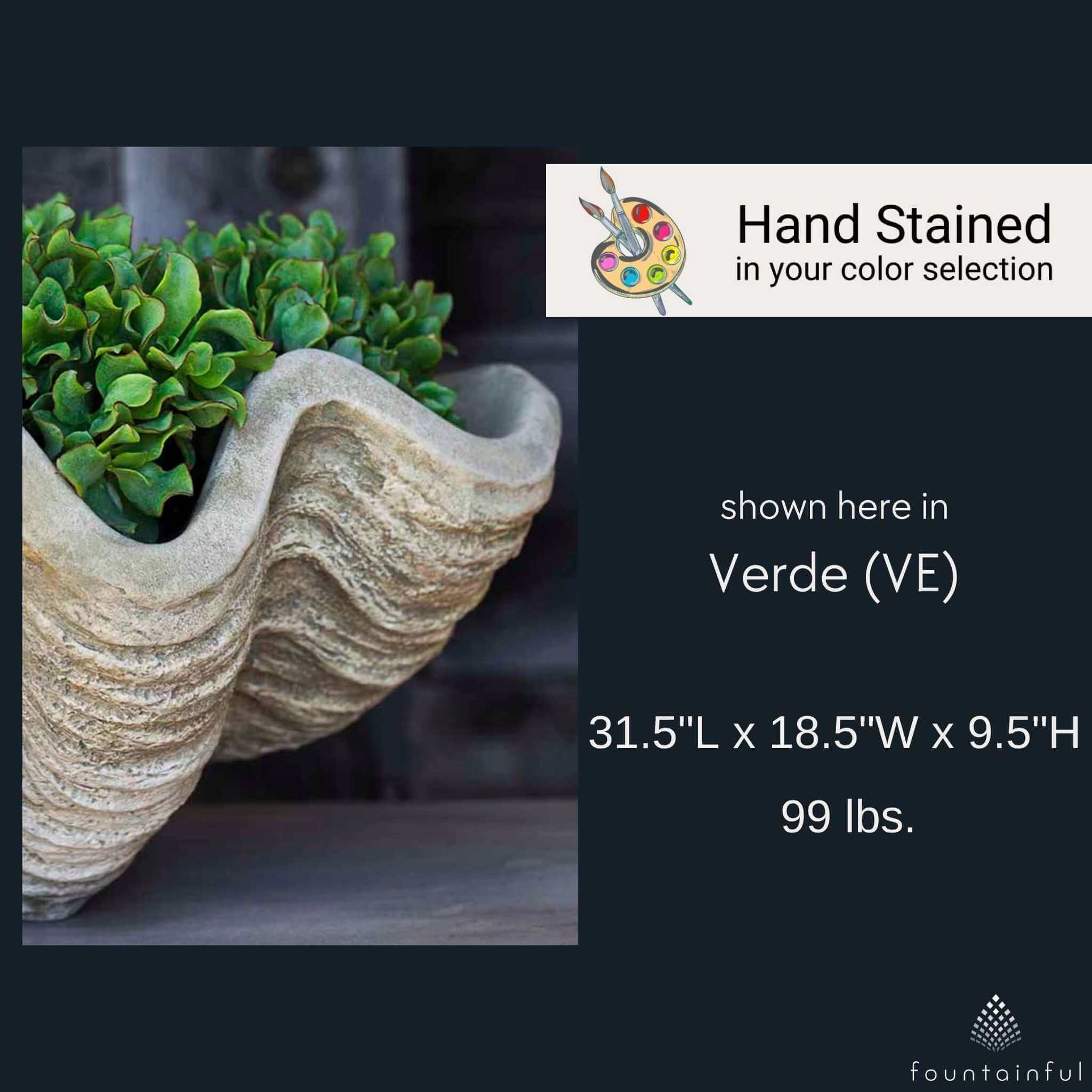 South Seas Large Concrete Shell Planter - Campania #W106