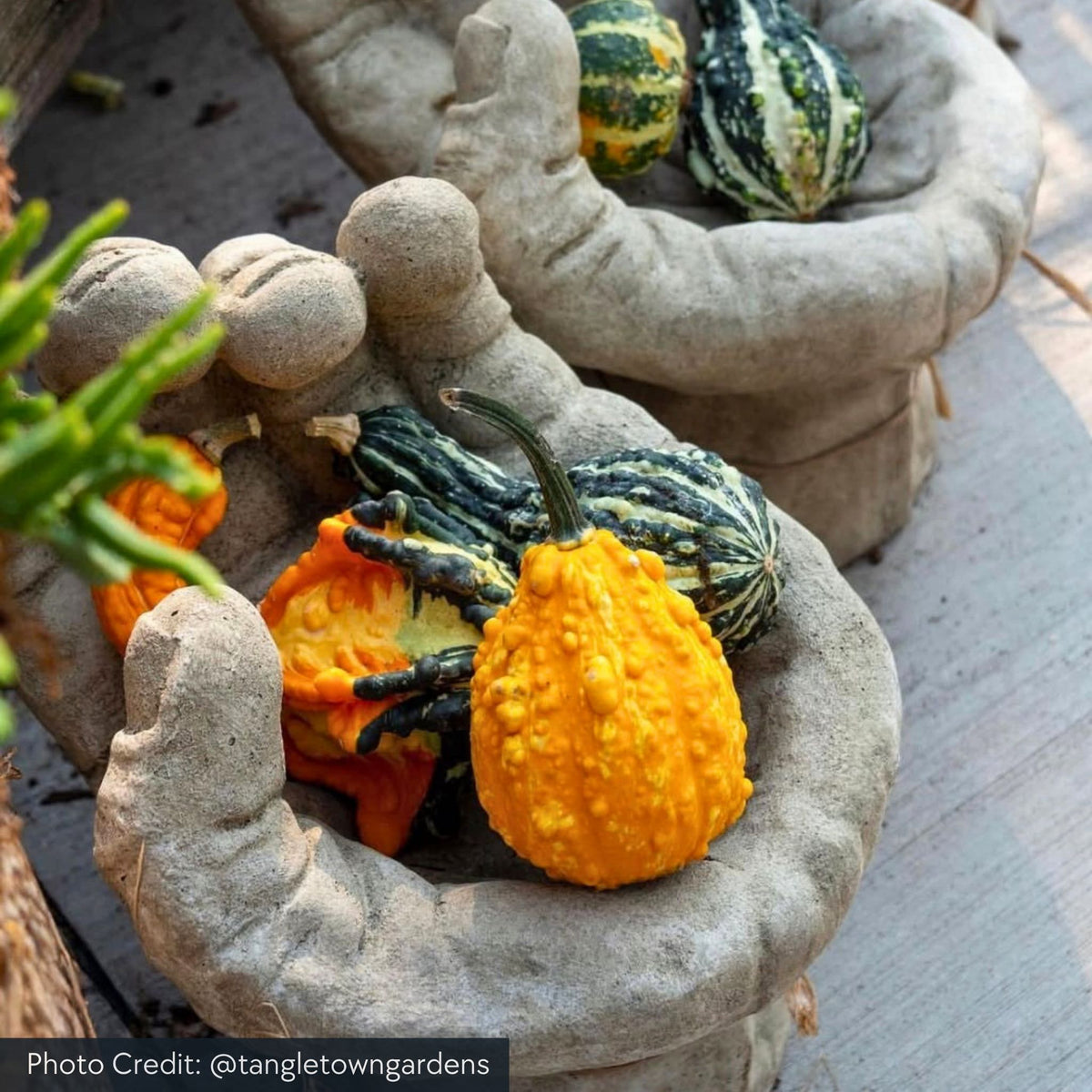 Mano Concrete Bird Bath - Campania #B026