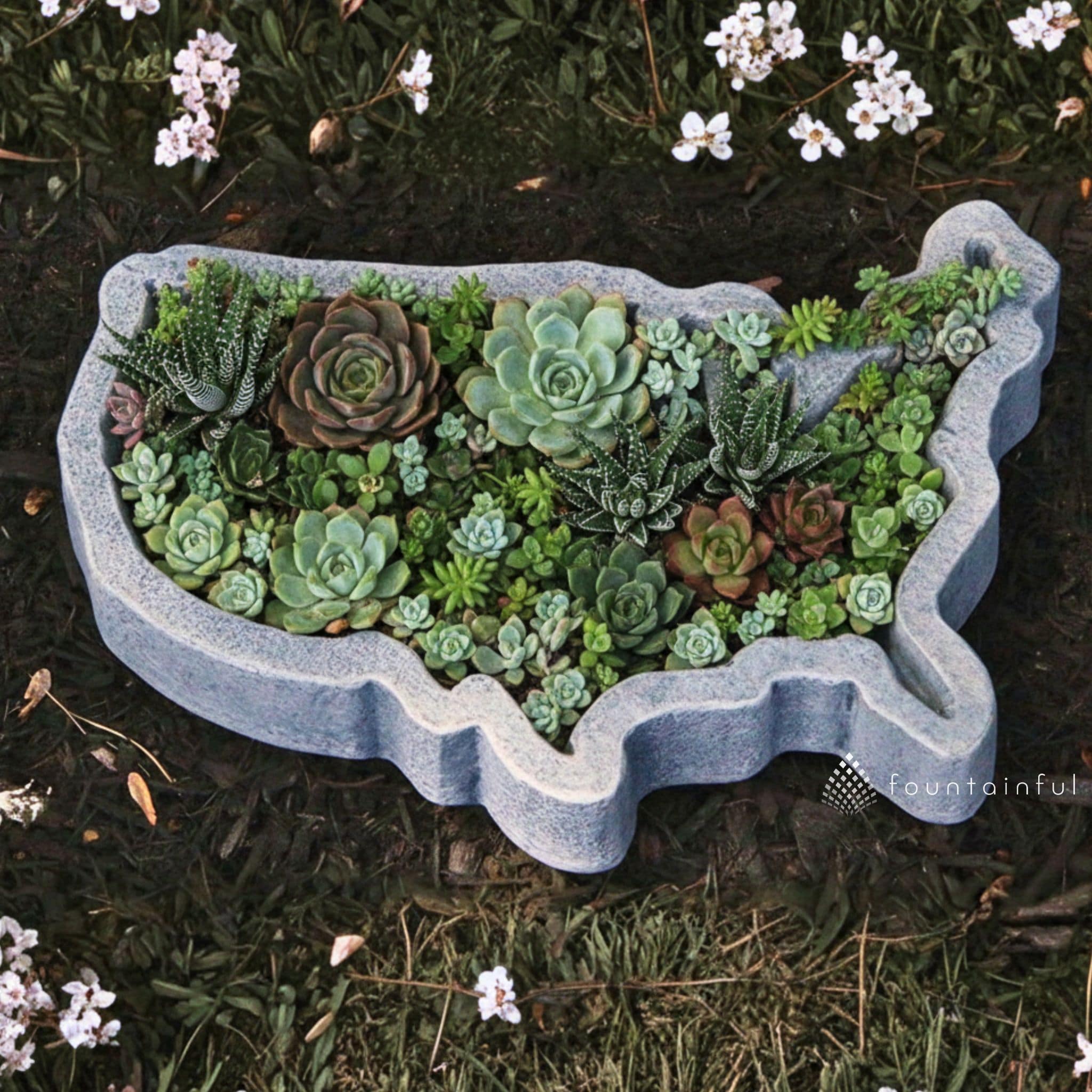 nearly natural succulent garden with concrete planter United States Concrete Planter