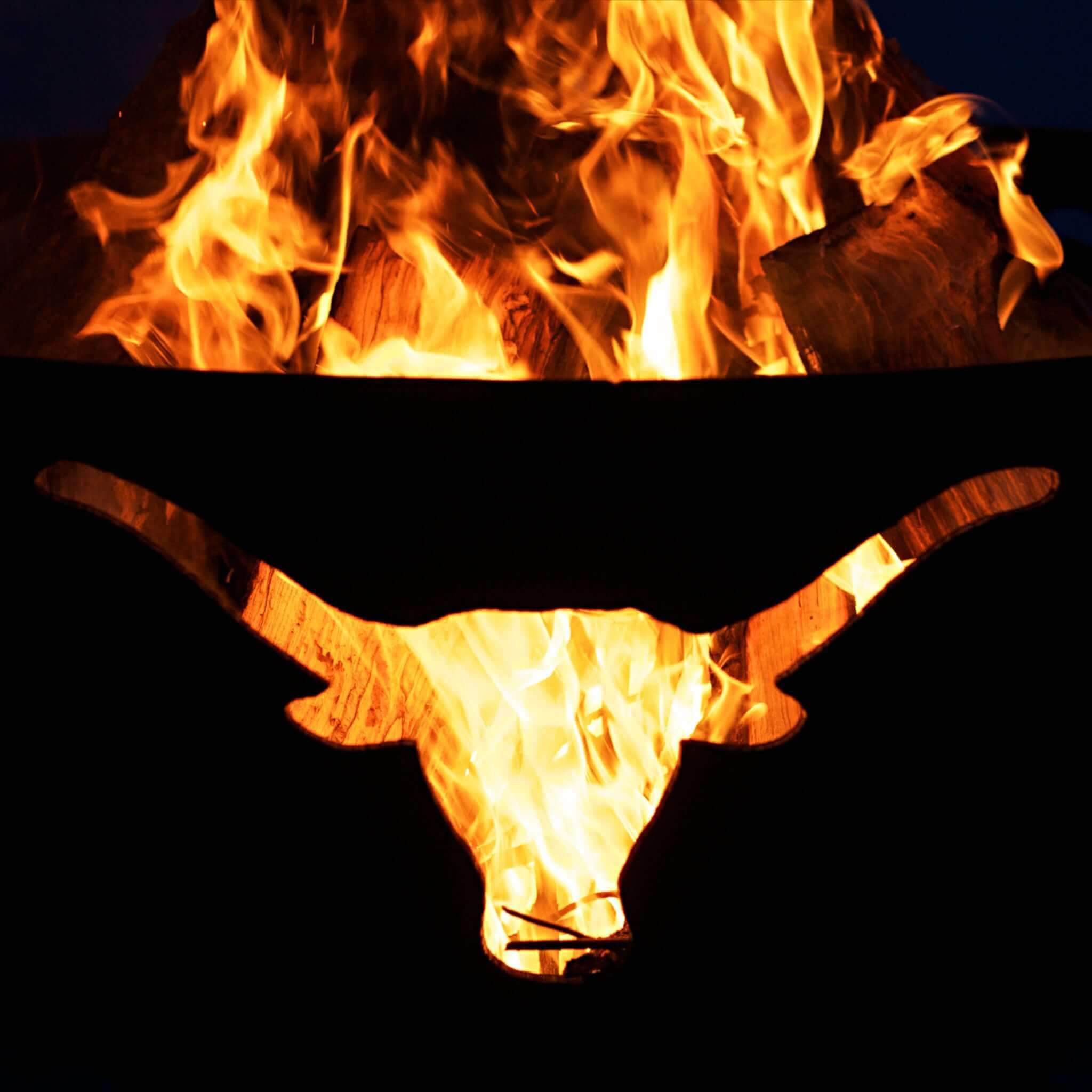 Longhorn Gas Fire Pit in Steel - Fire Pit Art
