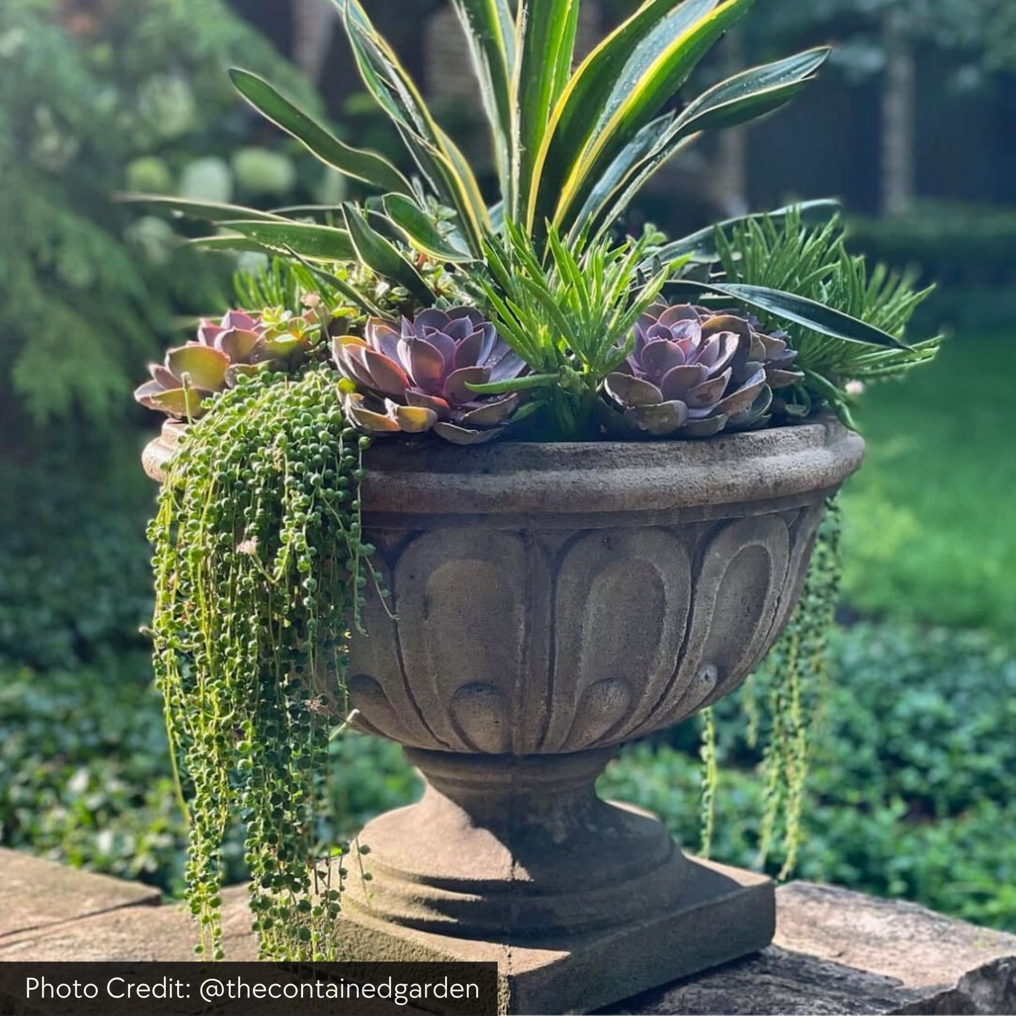 Longwood Fluted Concrete Urn Planter - Campania #P351