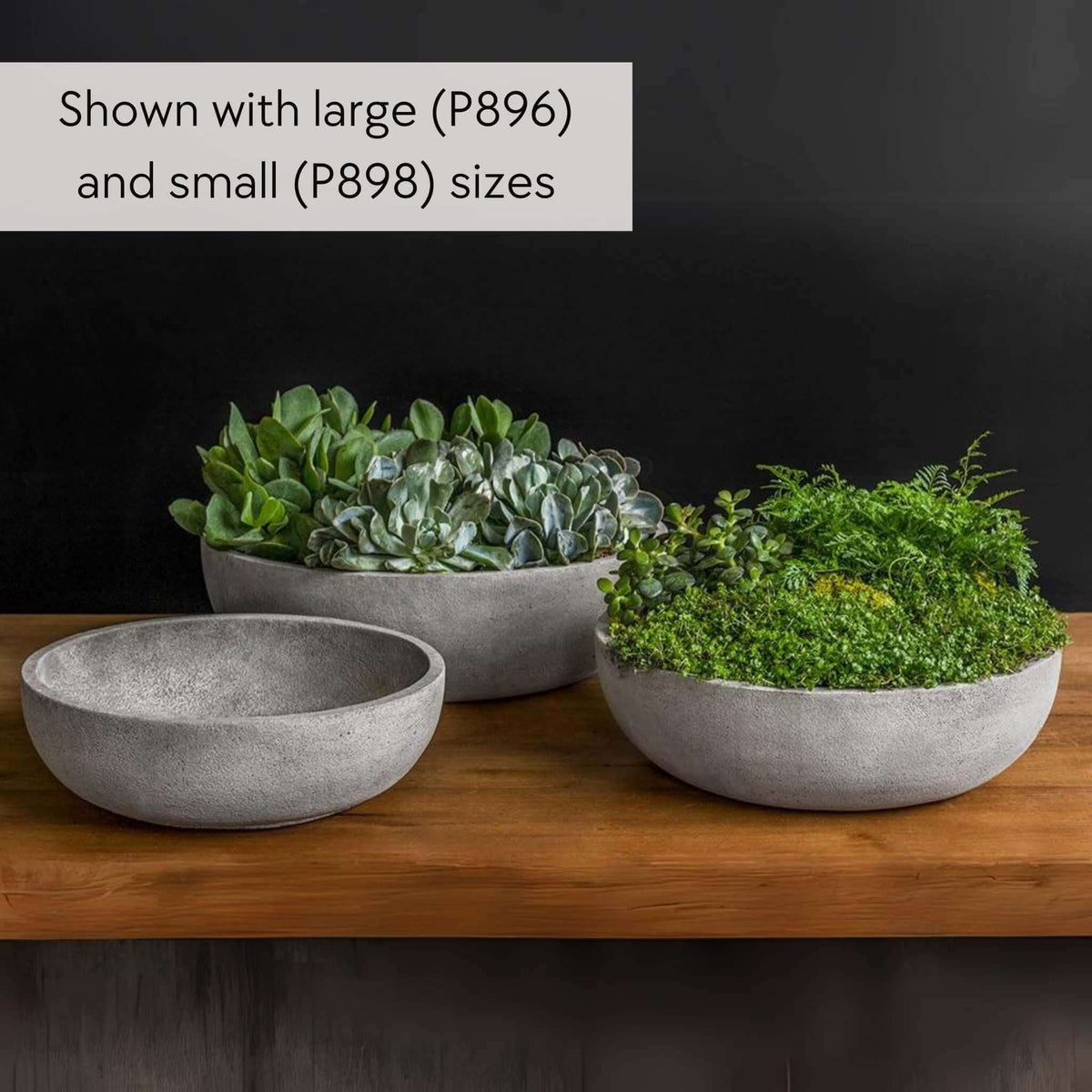 Terrace Bowl Medium Concrete Planter - Campania #P897