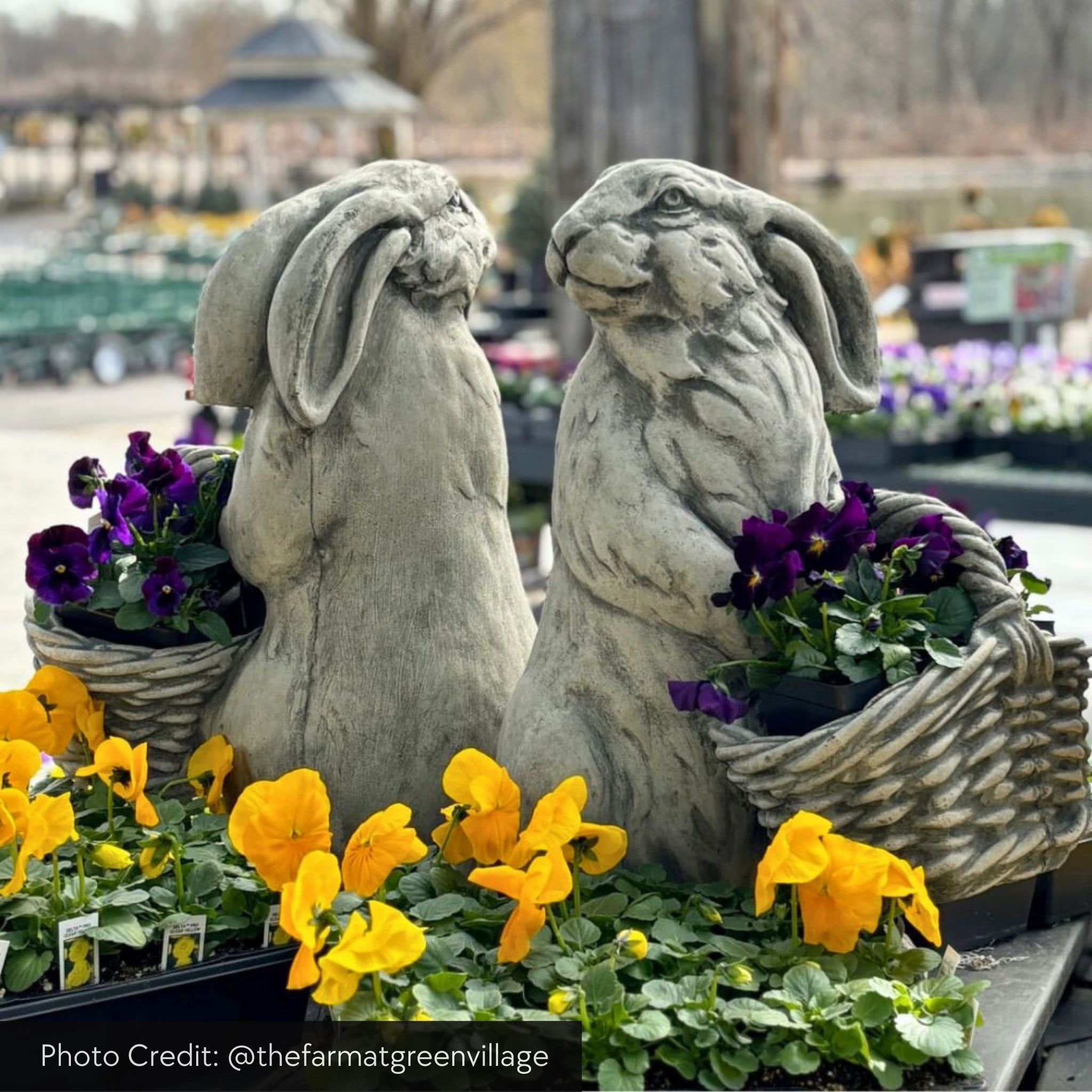Spring Hare Concrete Garden Statue - Campania #A580