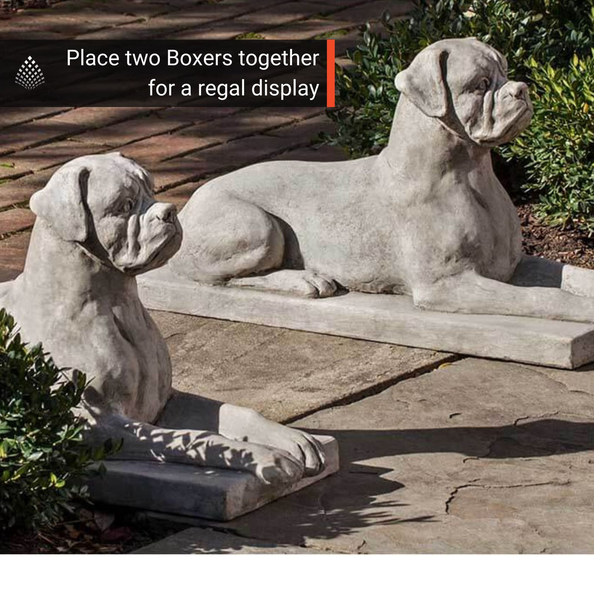 Boxer Concrete Garden Statue - Campania #A547