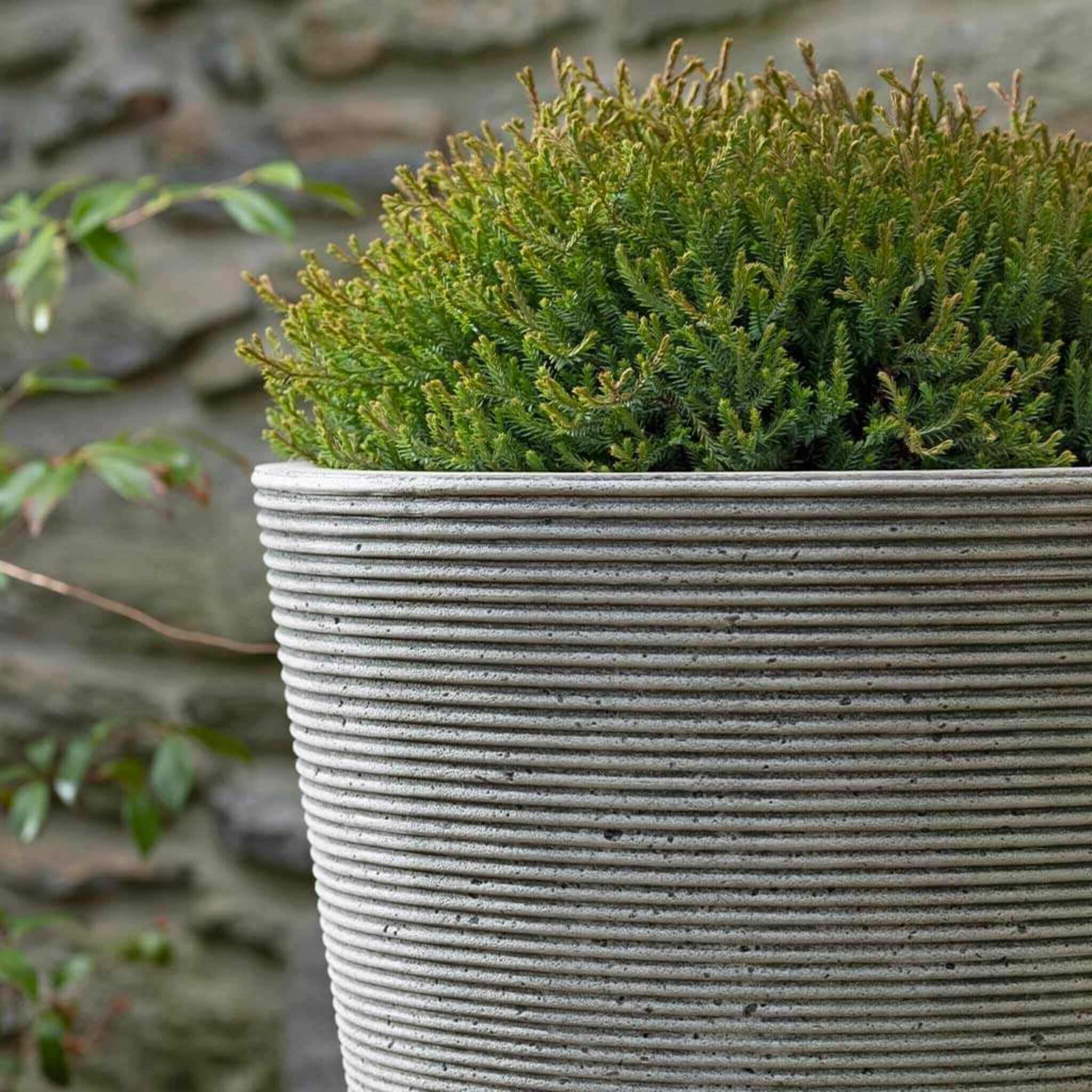 Pimlico Concrete Planter - Campania #P909