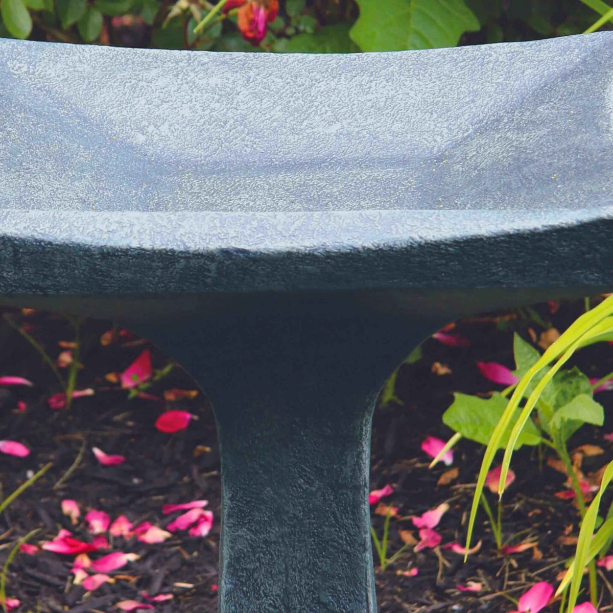 Scooped One-Piece Concrete Bird Bath - Massarellis #9767