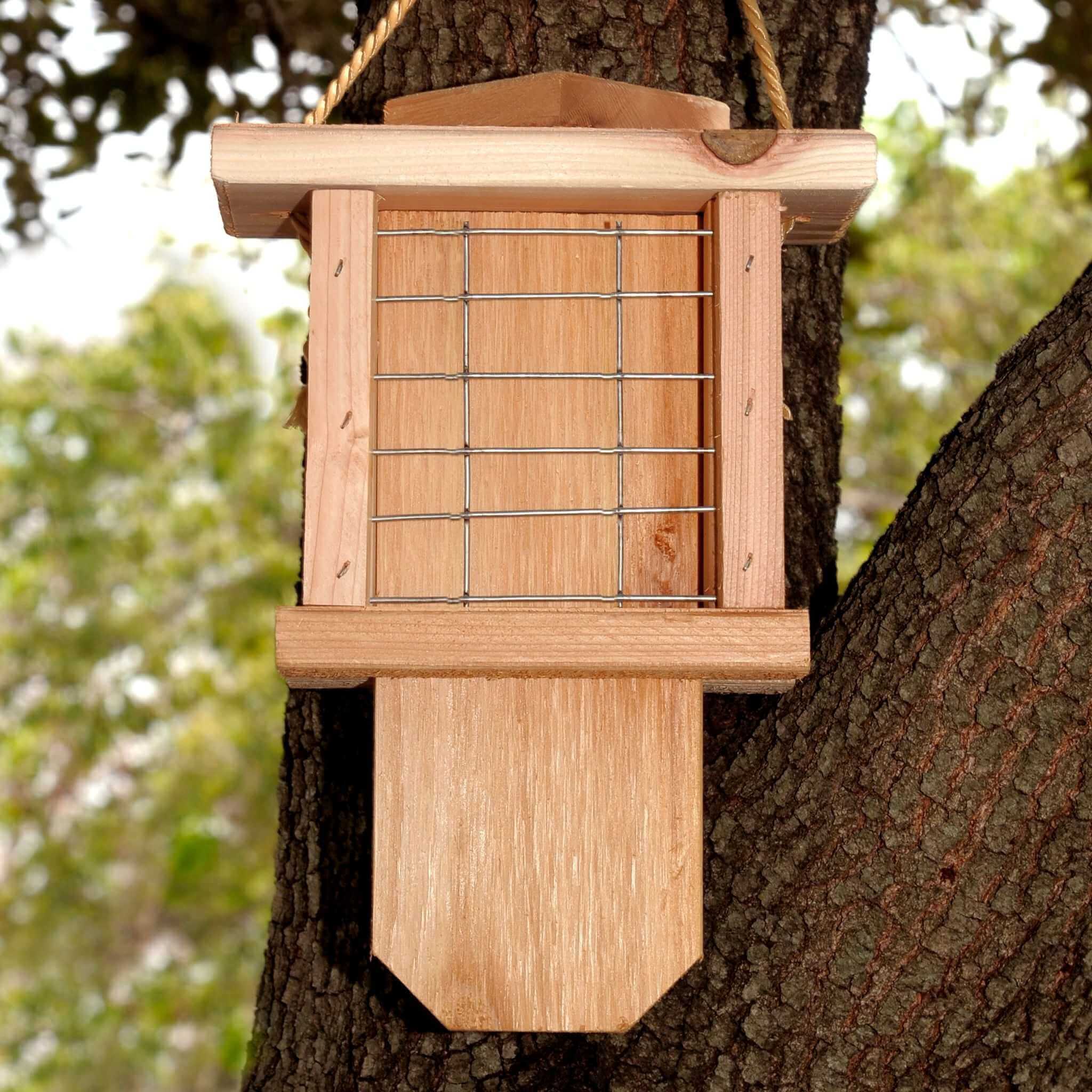 Suet 2-Cake Hanging Bird Feeder - Cedar Wood | Winter Woodworks