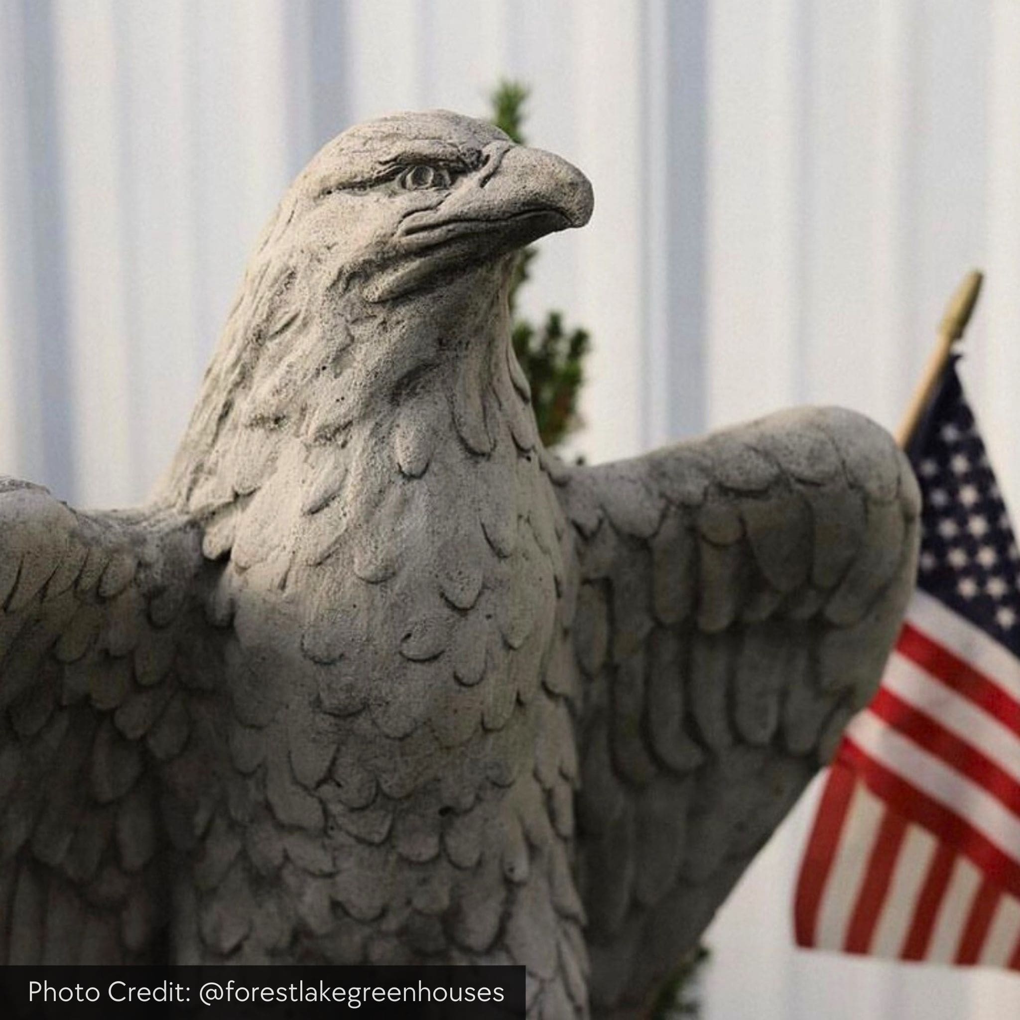 Eagles Looking Left & Right Concrete Garden Statues - Campania #A253